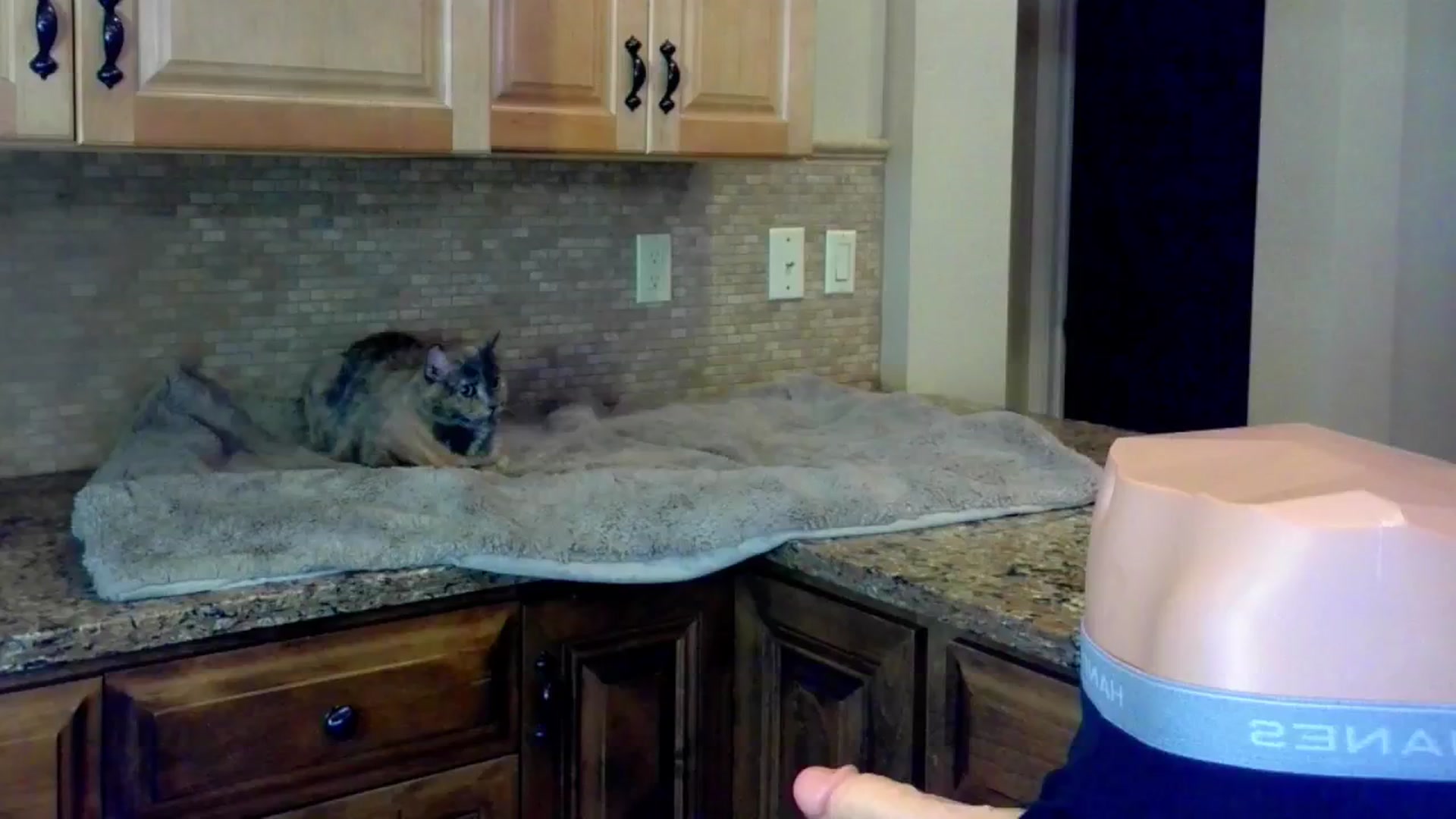 Gallery image thumbnail from LilMisbehavin's myfreecams stream on, 08/04/2024, 01:37 image 13 of 20