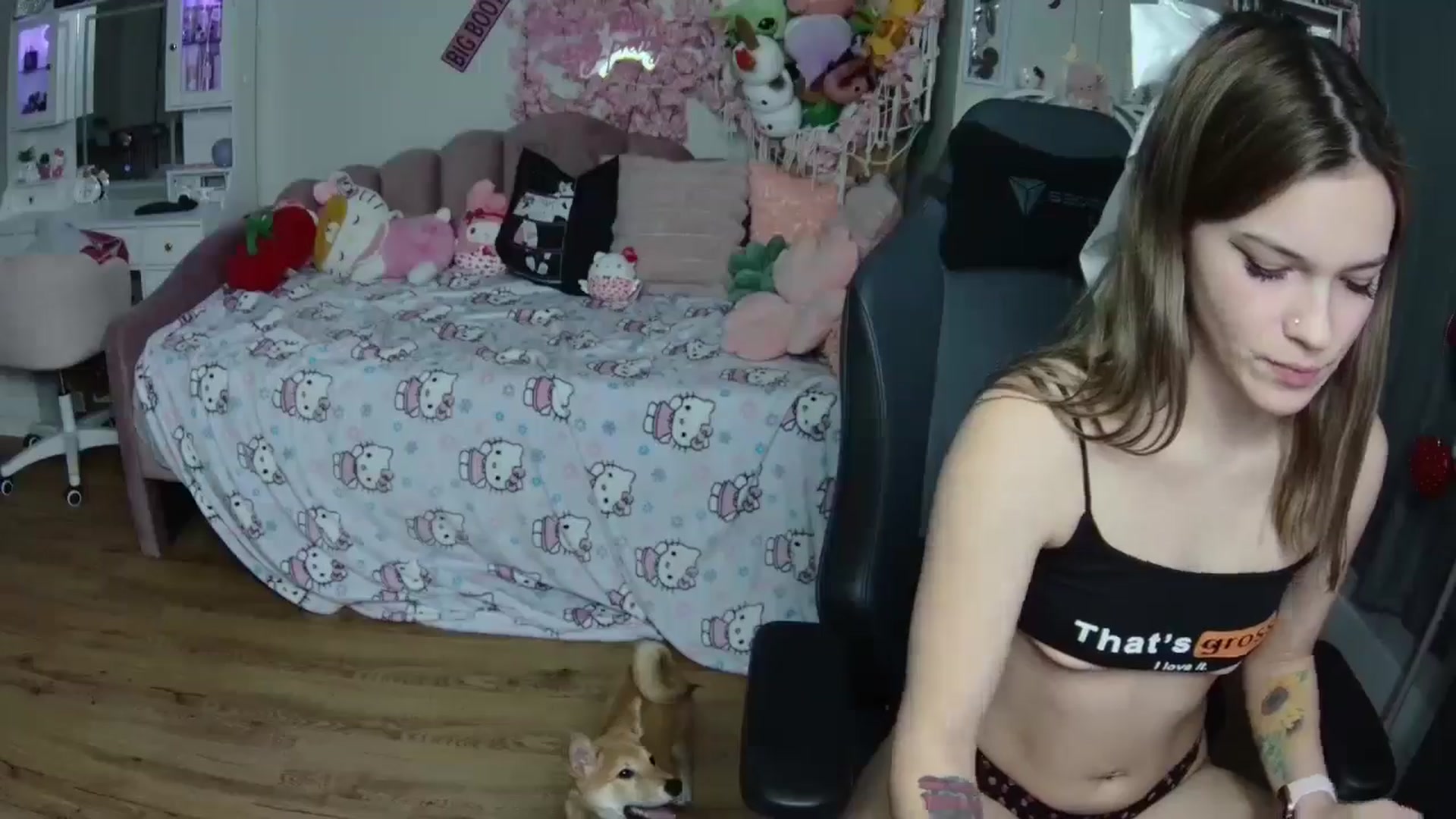 Gallery image thumbnail from Lil__Bunny's myfreecams stream on, 02/01/2025, 21:11 image 16 of 20