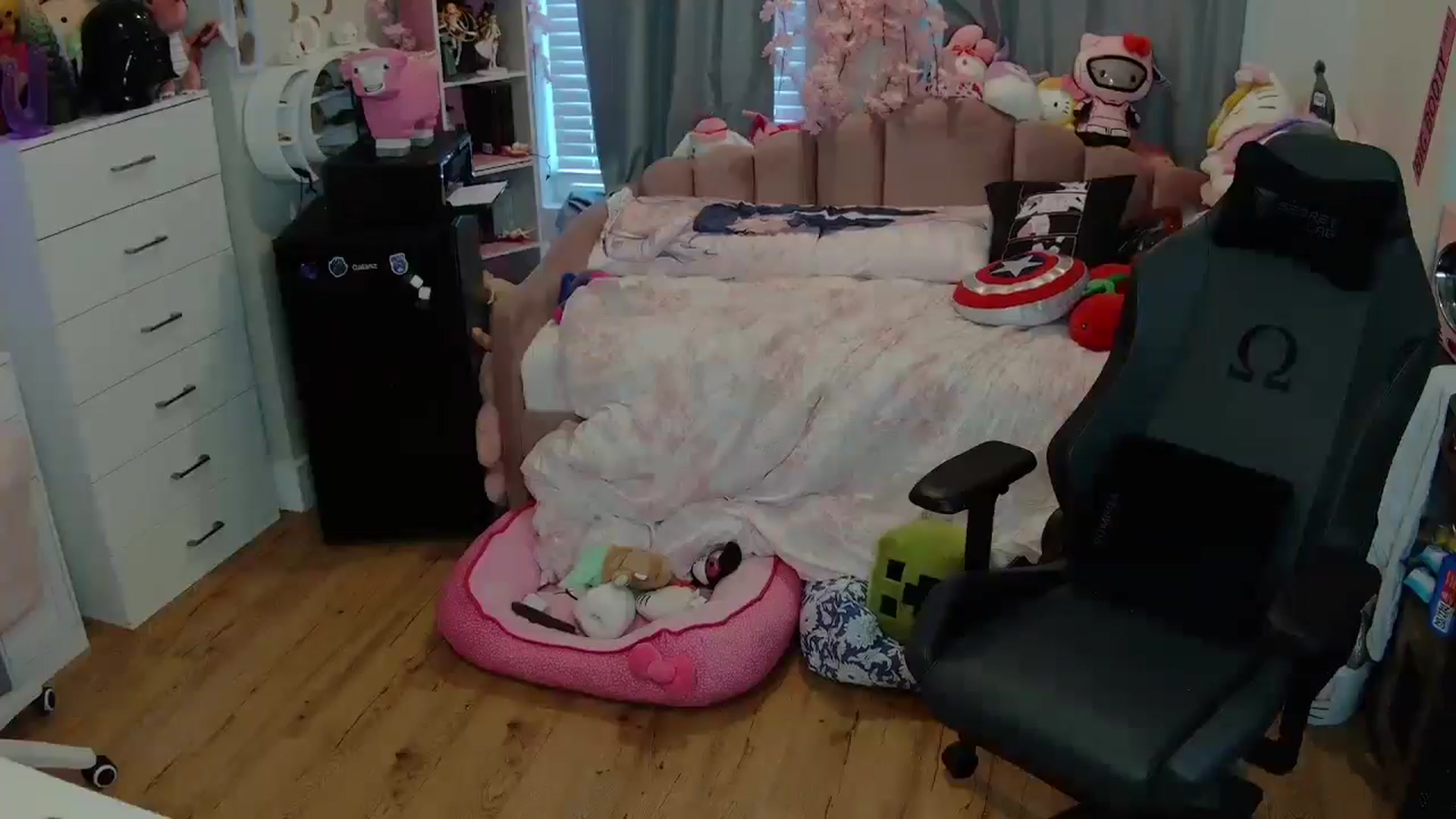 Gallery image thumbnail from Lil__Bunny's myfreecams stream on, 06/02/2025, 23:23 image 5 of 20