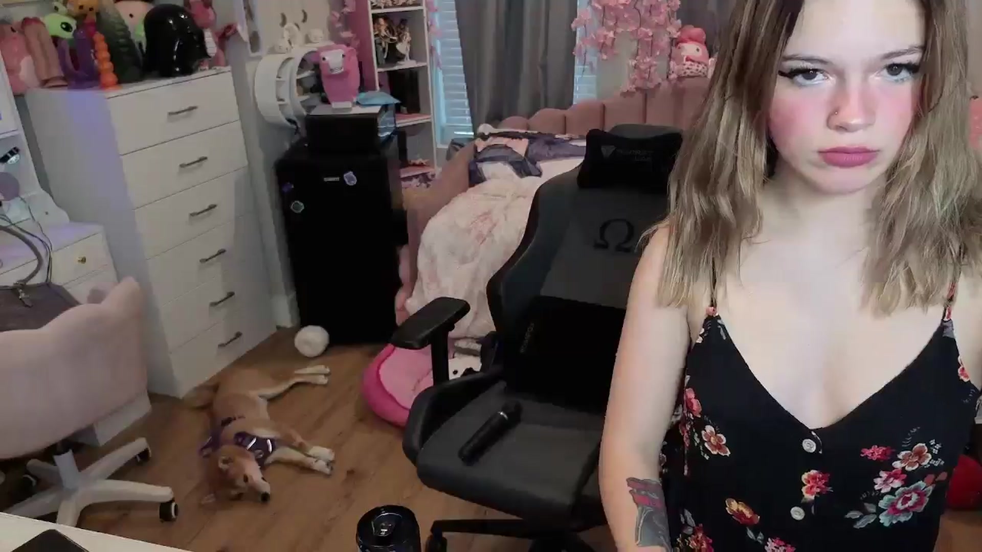 Gallery image thumbnail from Lil__Bunny's myfreecams stream on, 06/15/2025, 24:33 image 12 of 20