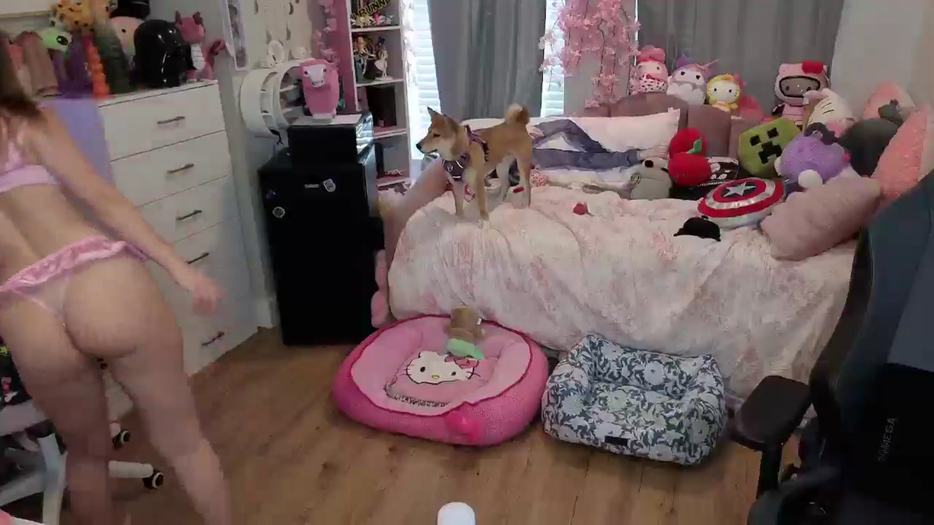 Gallery image thumbnail from Lil__Bunny's myfreecams stream on, 06/16/2025, 20:29 image 2 of 20