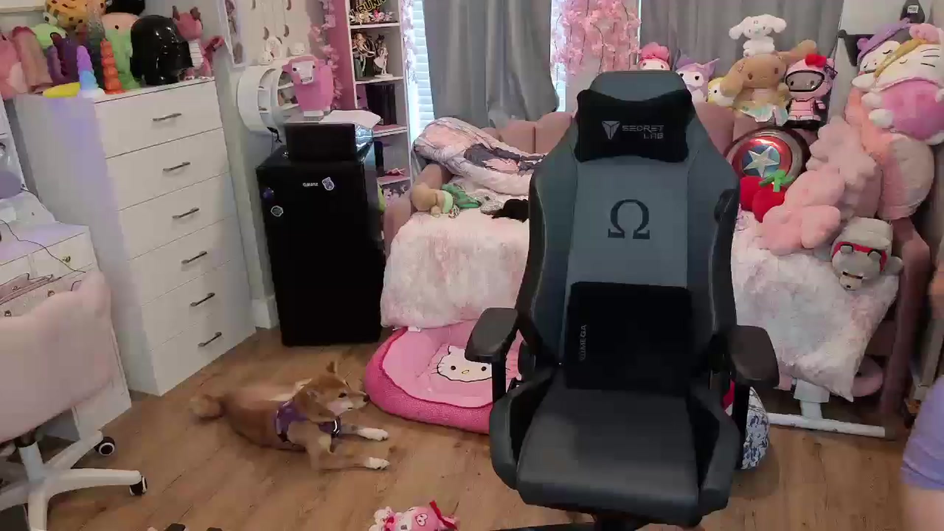 Gallery image thumbnail from Lil__Bunny's myfreecams stream on, 06/22/2025, 21:26 image 7 of 20