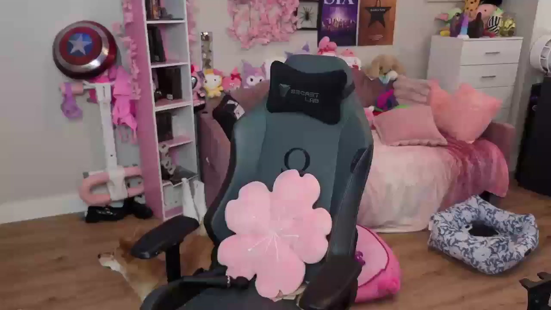Gallery image thumbnail from Lil__Bunny's myfreecams stream on, 07/13/2025, 14:20 image 2 of 20