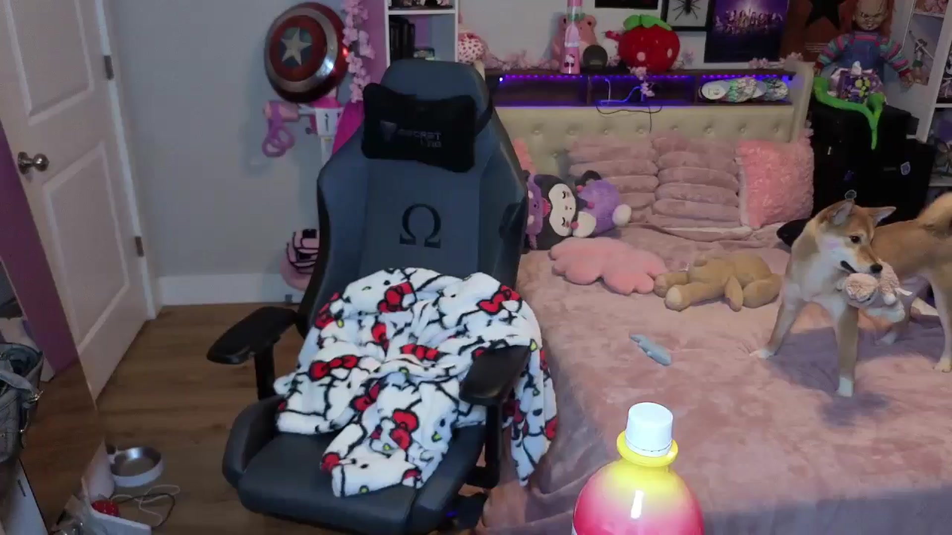 Gallery image thumbnail from Lil__Bunny's myfreecams stream on, 09/13/2025, 23:54 image 17 of 20