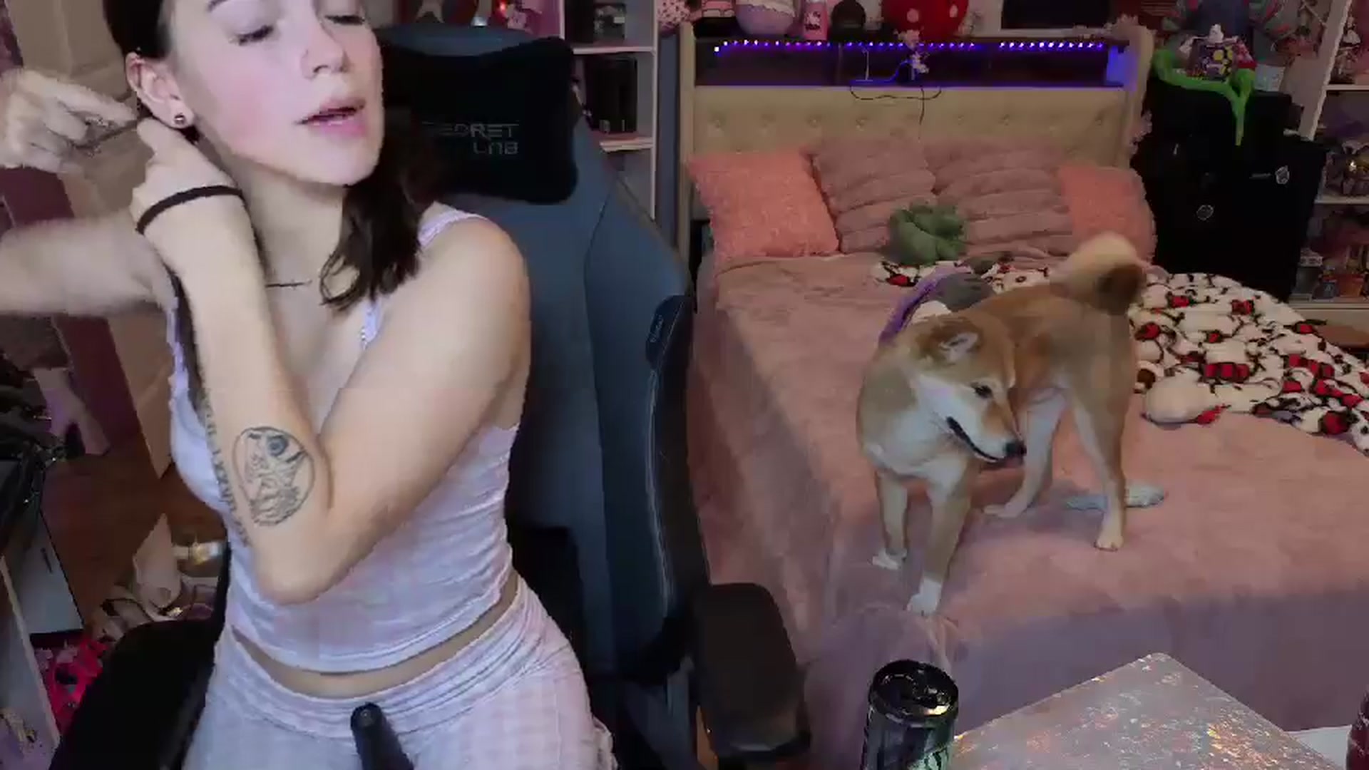 Gallery image thumbnail from Lil__Bunny's myfreecams stream on, 09/17/2025, 01:11 image 12 of 20