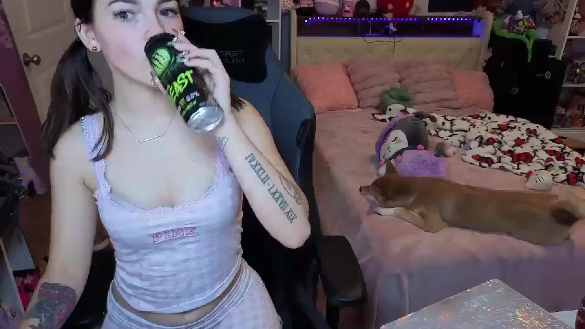 Gallery image thumbnail from Lil__Bunny's myfreecams stream on, 09/17/2025, 01:11 image 17 of 20
