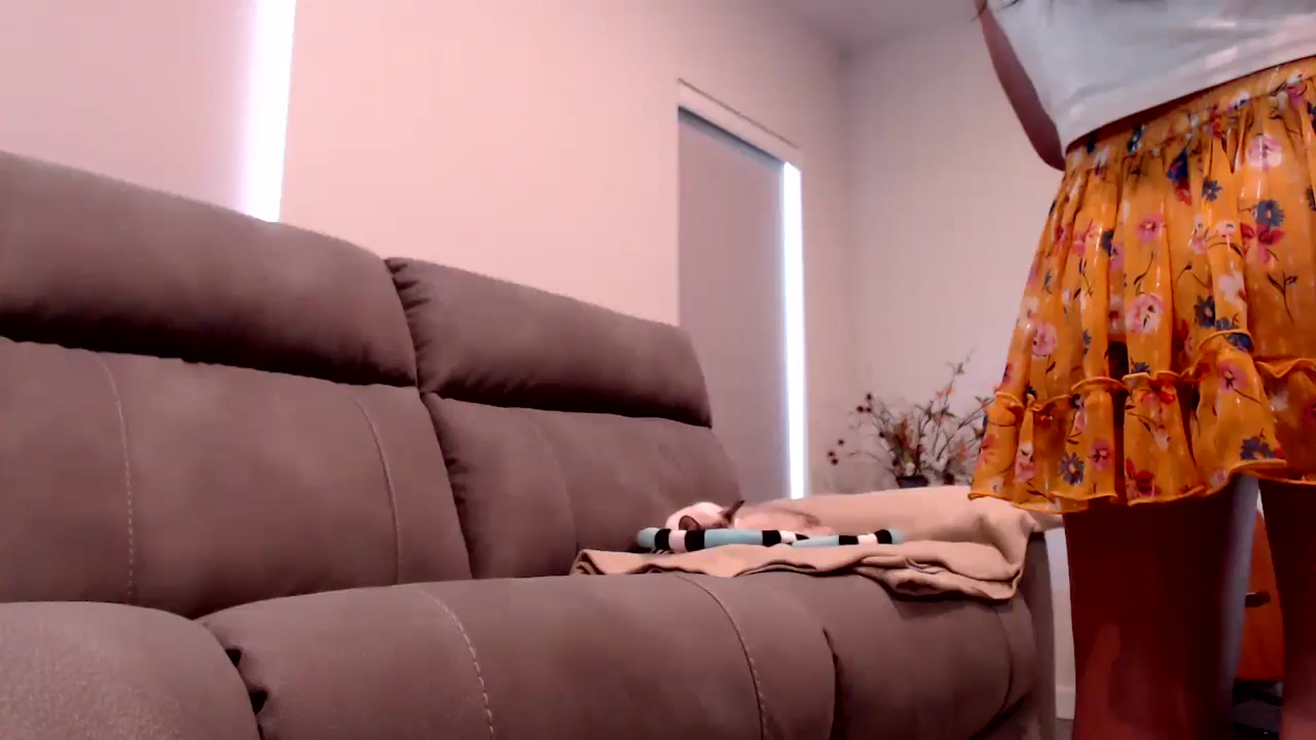 Gallery image thumbnail from Lil__bit's myfreecams stream on, 07/24/2025, 19:39 image 13 of 20