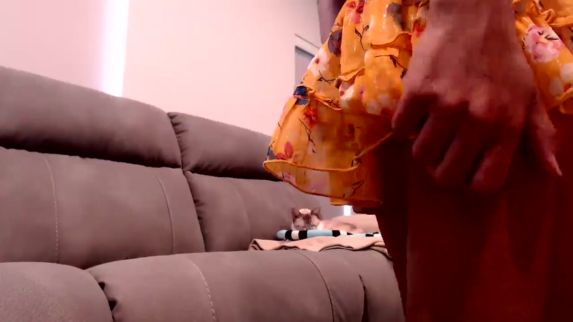 Gallery image thumbnail from Lil__bit's myfreecams stream on, 07/24/2025, 19:39 image 9 of 20