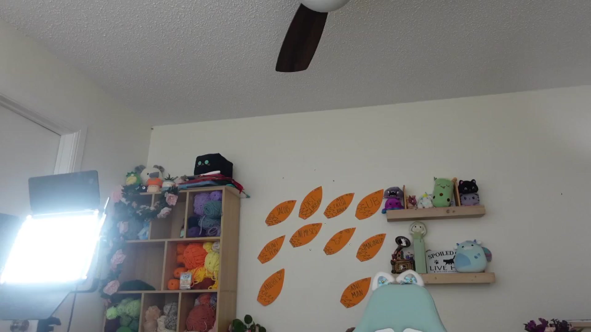 Gallery image thumbnail from Lil_blueberry's myfreecams stream on, 06/07/2024, 03:33 image 13 of 20