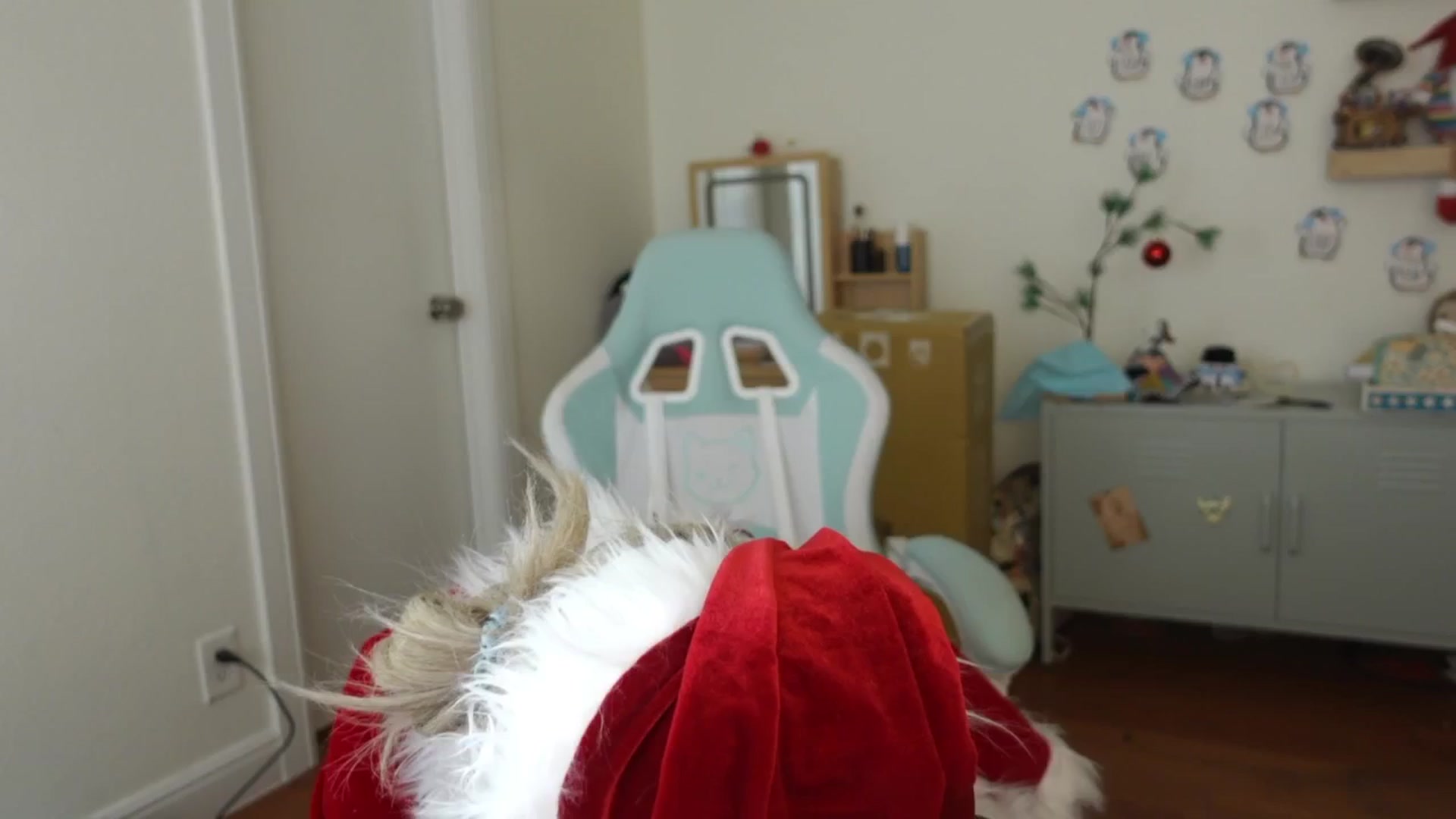 Gallery image thumbnail from Lil_blueberry's myfreecams stream on, 12/27/2024, 04:34 image 6 of 20