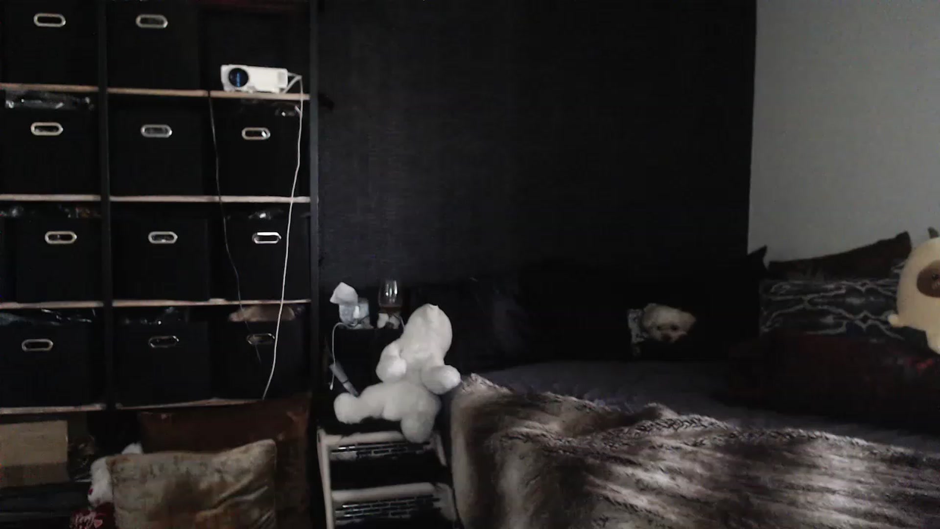 Gallery image thumbnail from Lil_bunniii's myfreecams stream on, 03/30/2023, 23:48 image 7 of 20