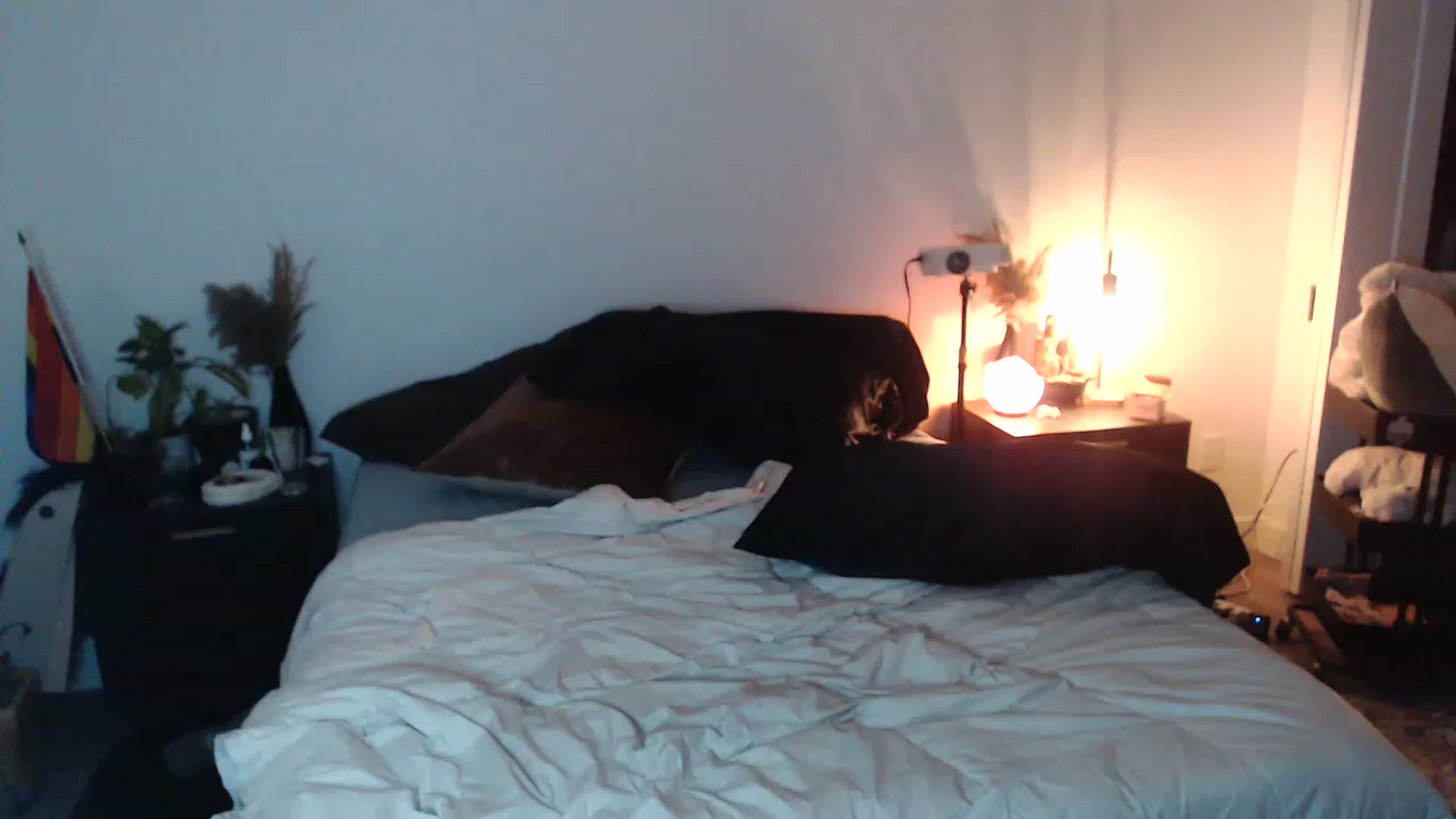 Gallery image thumbnail from Lil_bunniii's myfreecams stream on, 06/24/2023, 06:32 image 20 of 20