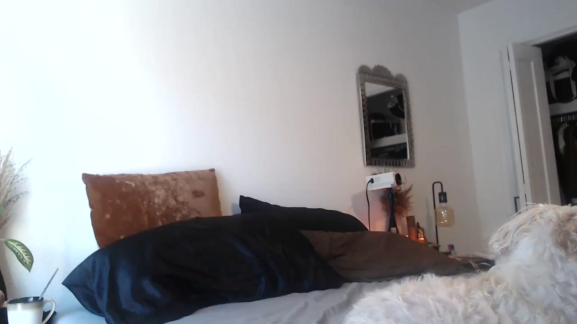 Gallery image thumbnail from Lil_bunniii's myfreecams stream on, 07/31/2023, 24:00 image 1 of 20