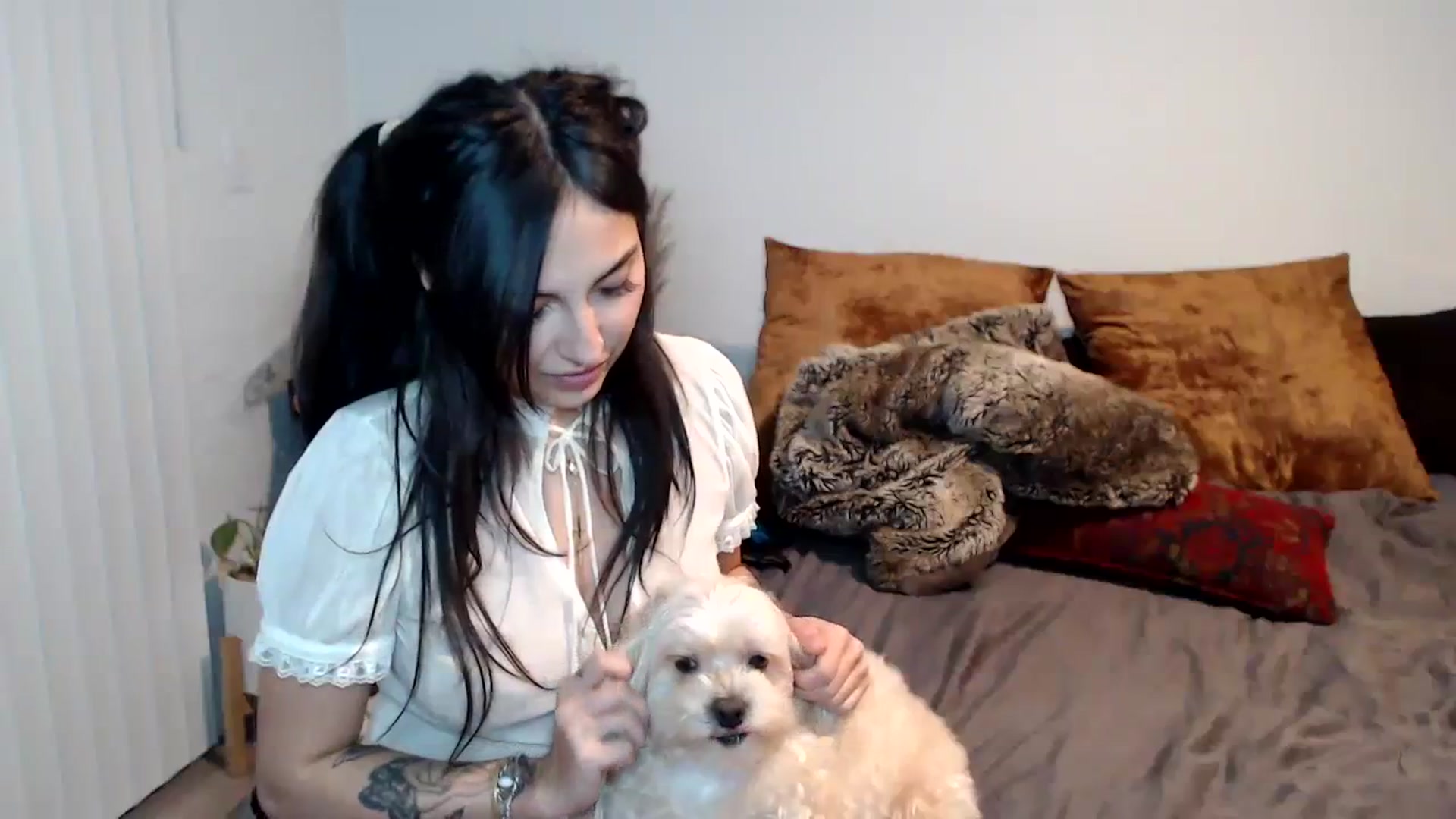 Gallery image thumbnail from Lil_bunniii's myfreecams stream on, 02/10/2024, 08:30 image 16 of 20