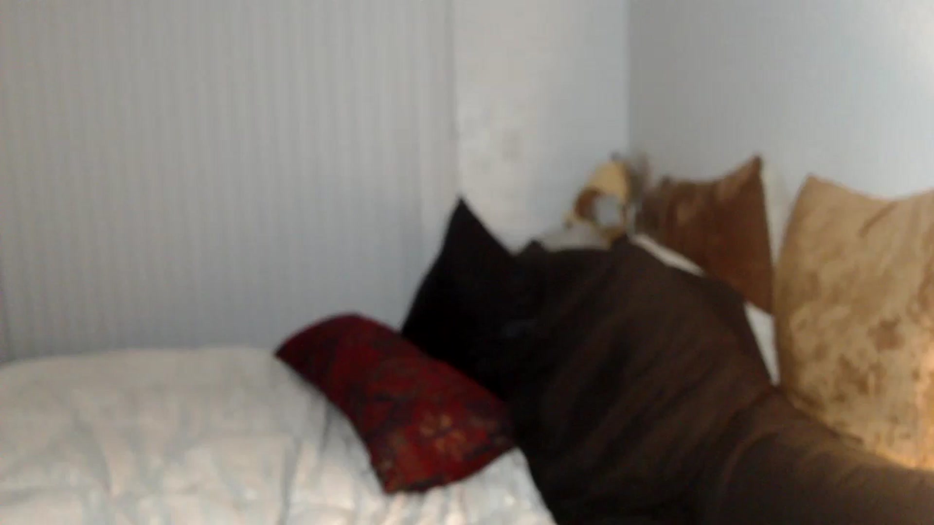 Gallery image thumbnail from Lil_bunniii's myfreecams stream on, 05/02/2024, 06:35 image 12 of 20