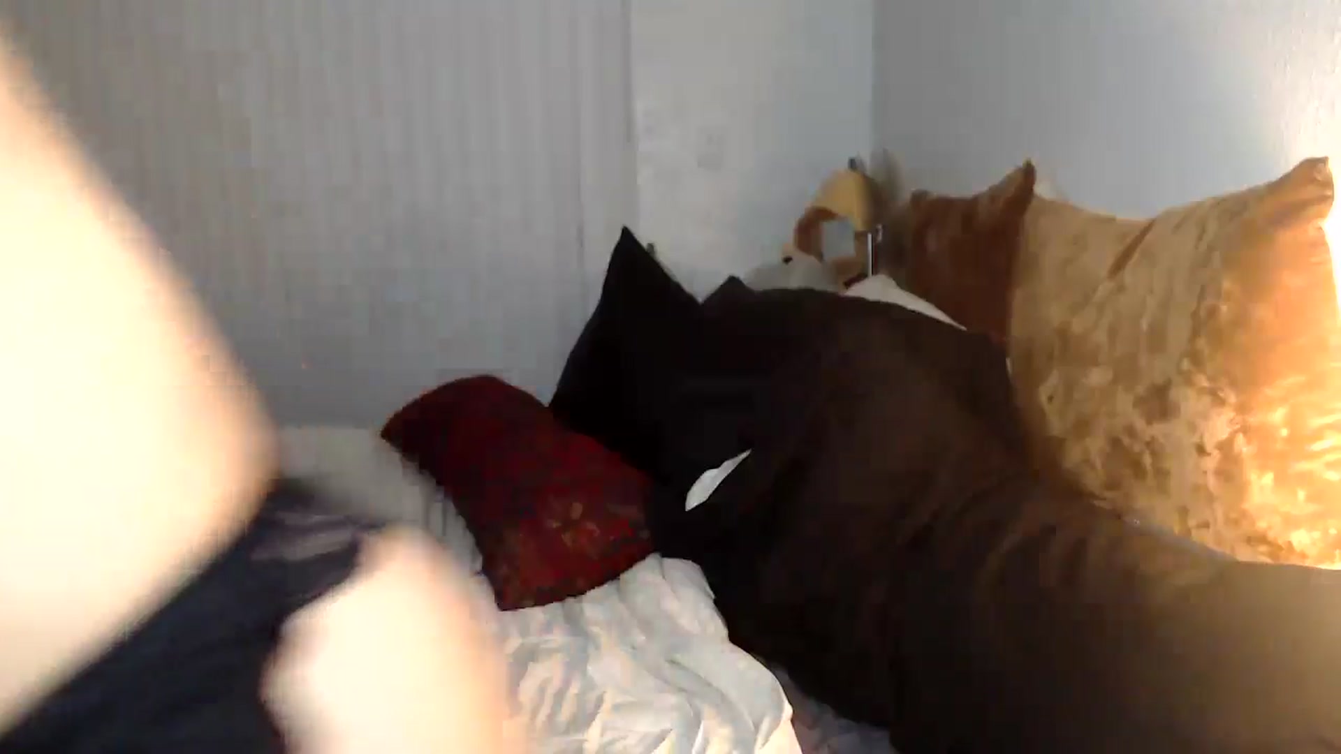 Gallery image thumbnail from Lil_bunniii's myfreecams stream on, 05/02/2024, 07:55 image 4 of 20