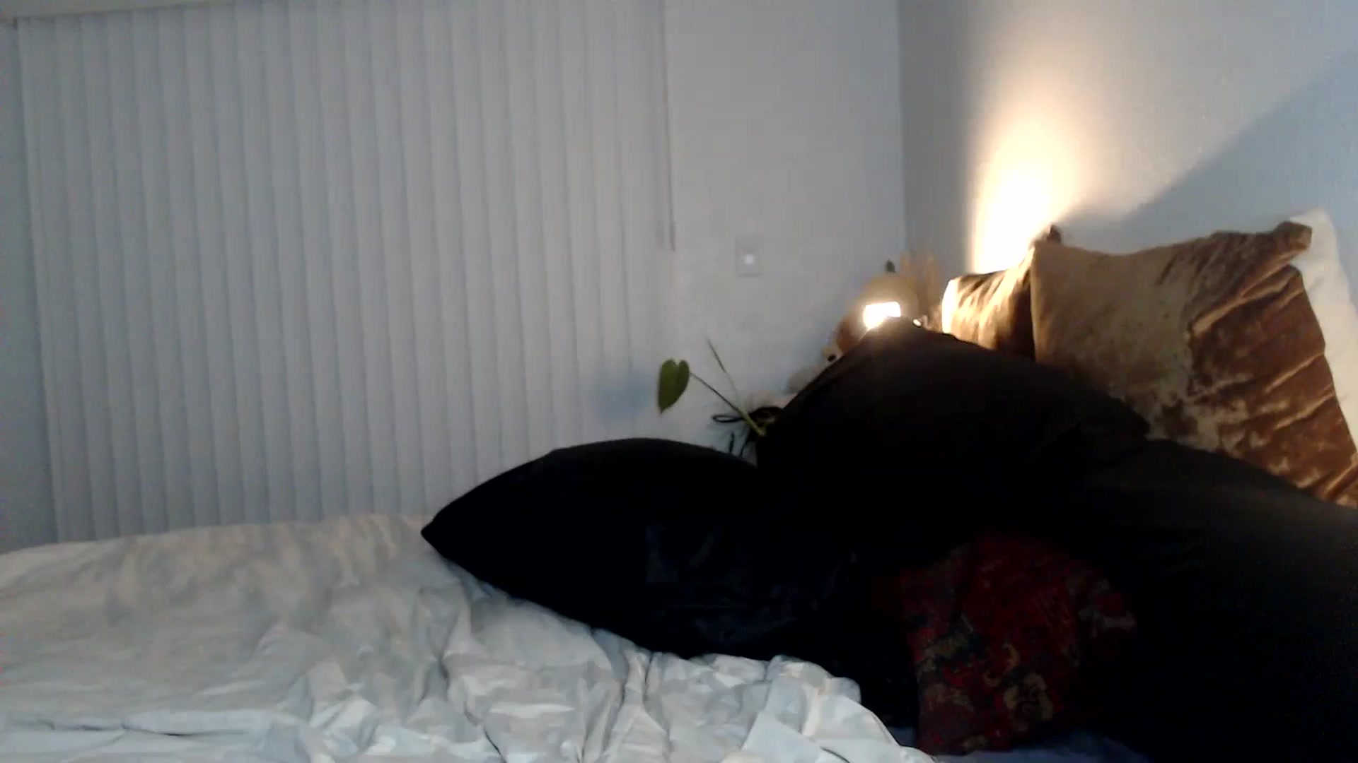 Gallery image thumbnail from Lil_bunniii's myfreecams stream on, 05/09/2024, 06:31 image 16 of 20