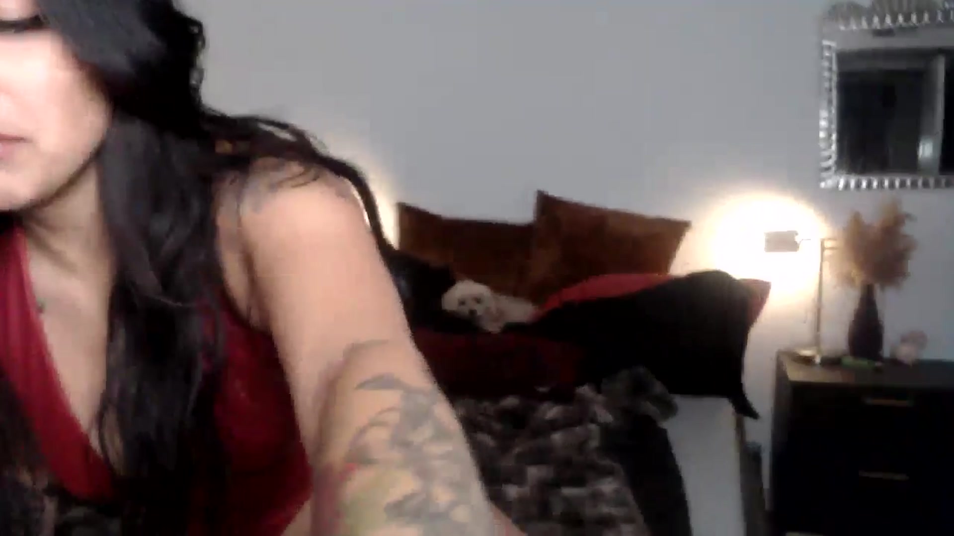 Gallery image thumbnail from Lil_bunniii's myfreecams stream on, 05/15/2024, 06:34 image 10 of 20