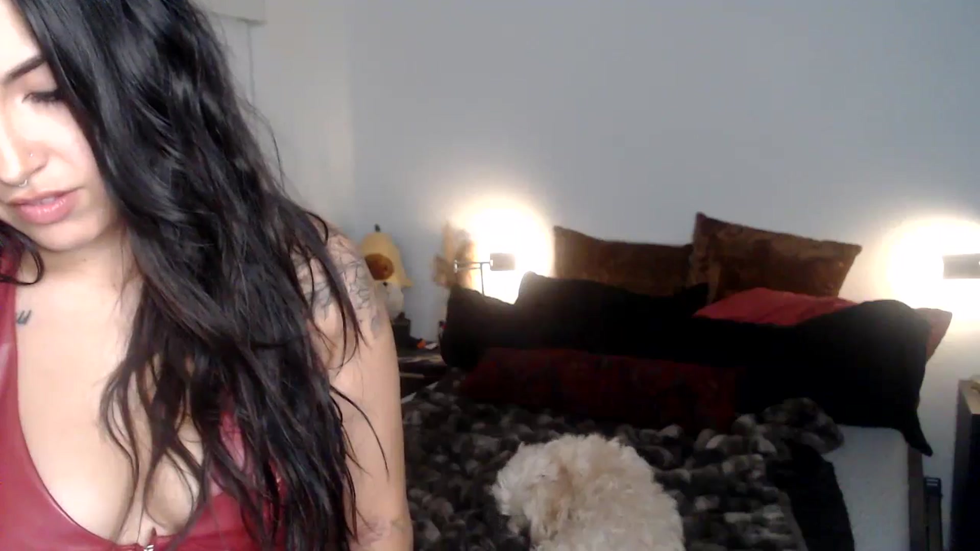 Gallery image thumbnail from Lil_bunniii's myfreecams stream on, 05/15/2024, 06:34 image 7 of 20