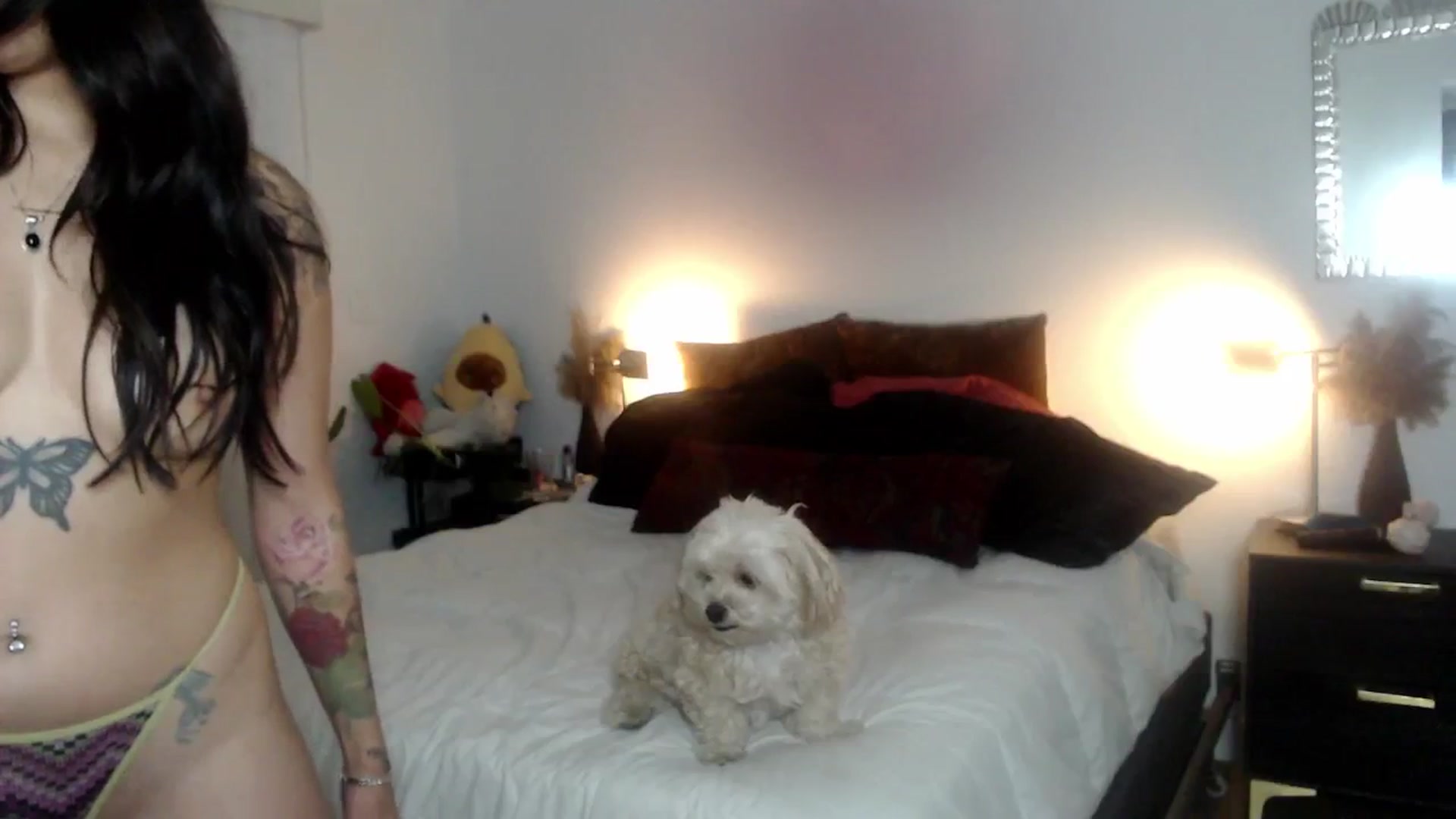 Gallery image thumbnail from Lil_bunniii's myfreecams stream on, 05/21/2024, 03:49 image 19 of 20