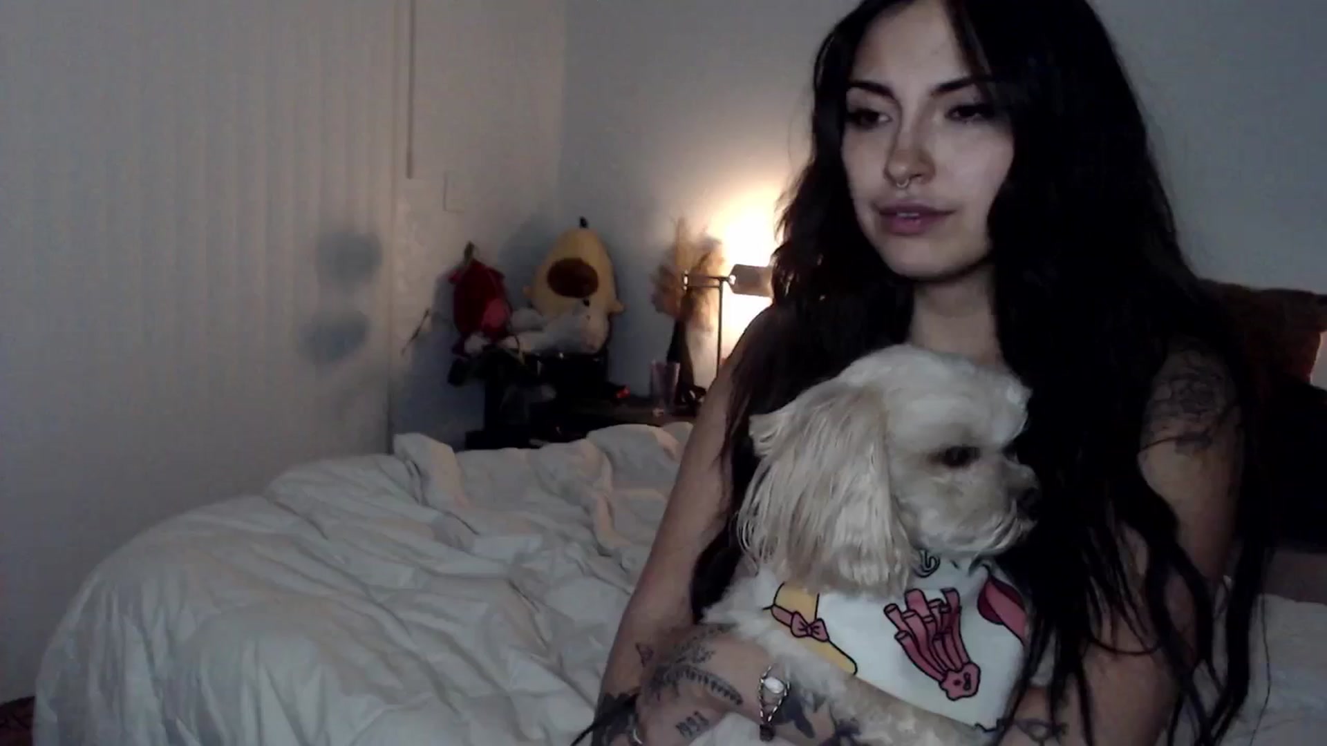 Gallery image thumbnail from Lil_bunniii's myfreecams stream on, 06/14/2024, 08:14 image 18 of 20