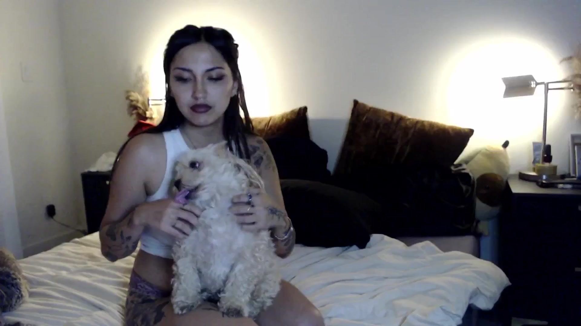 Gallery image thumbnail from Lil_bunniii's myfreecams stream on, 08/10/2024, 08:00 image 13 of 20