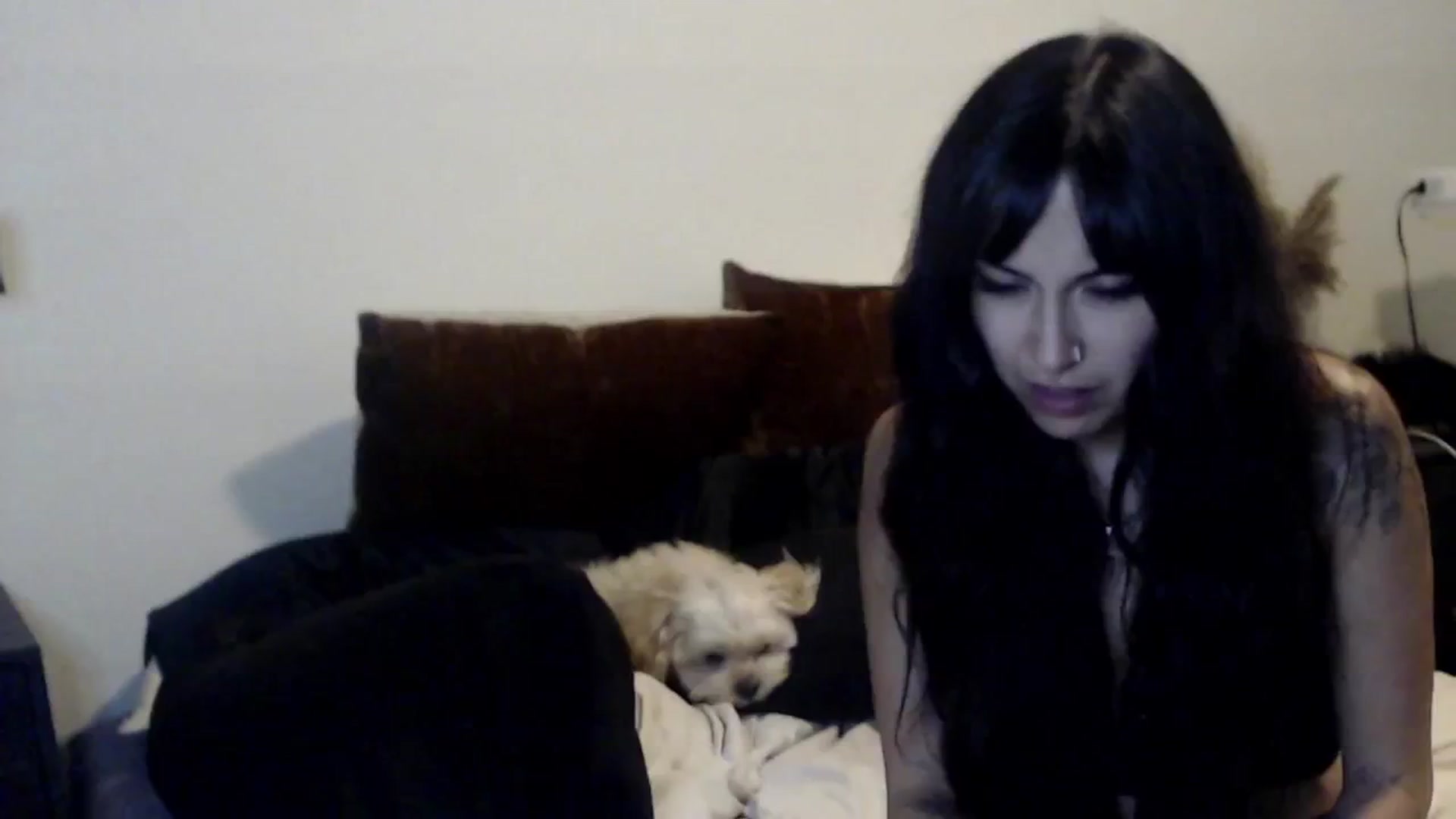 Gallery image thumbnail from Lil_bunniii's myfreecams stream on, 08/24/2024, 09:20 image 5 of 20