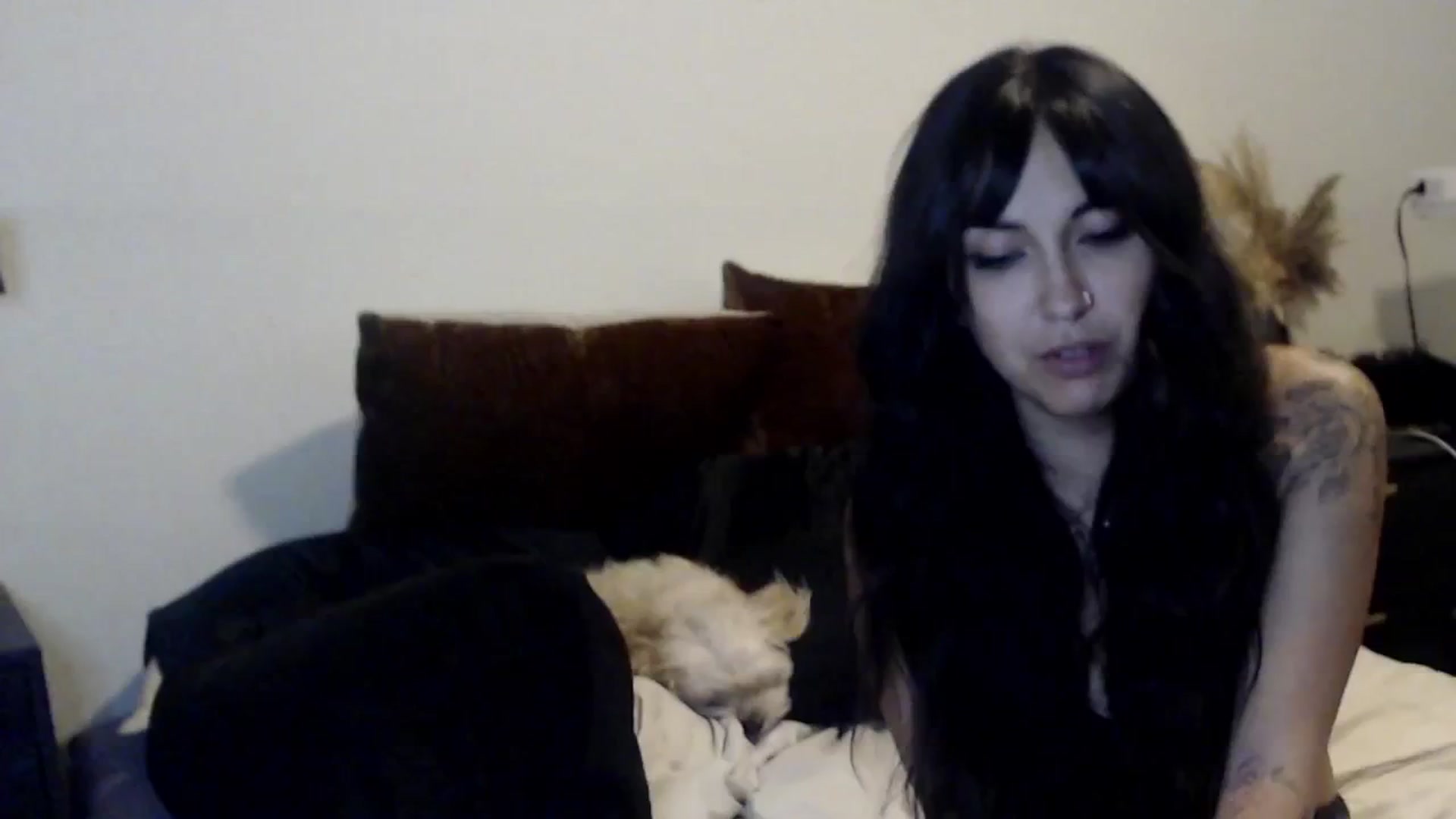 Gallery image thumbnail from Lil_bunniii's myfreecams stream on, 08/24/2024, 09:20 image 8 of 20