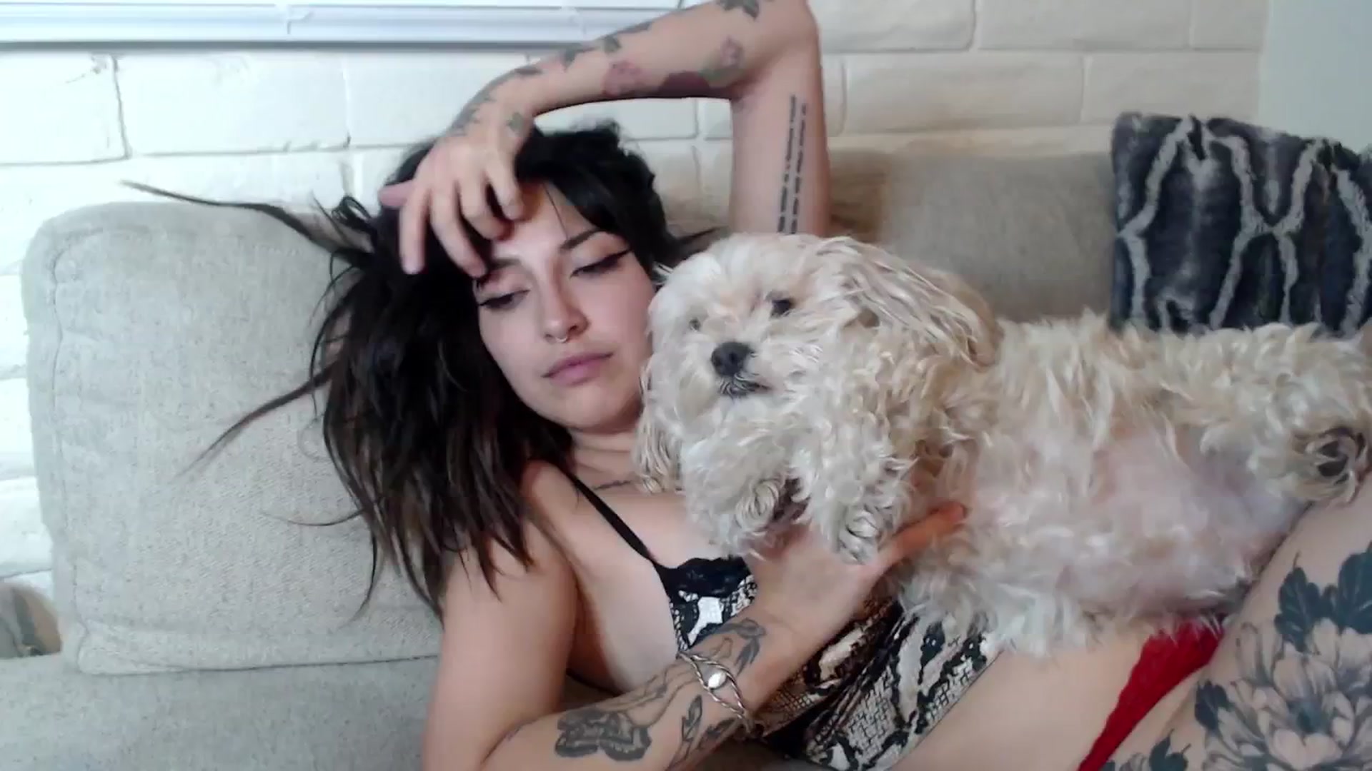 Gallery image thumbnail from Lil_bunniii's myfreecams stream on, 09/08/2024, 08:40 image 15 of 20
