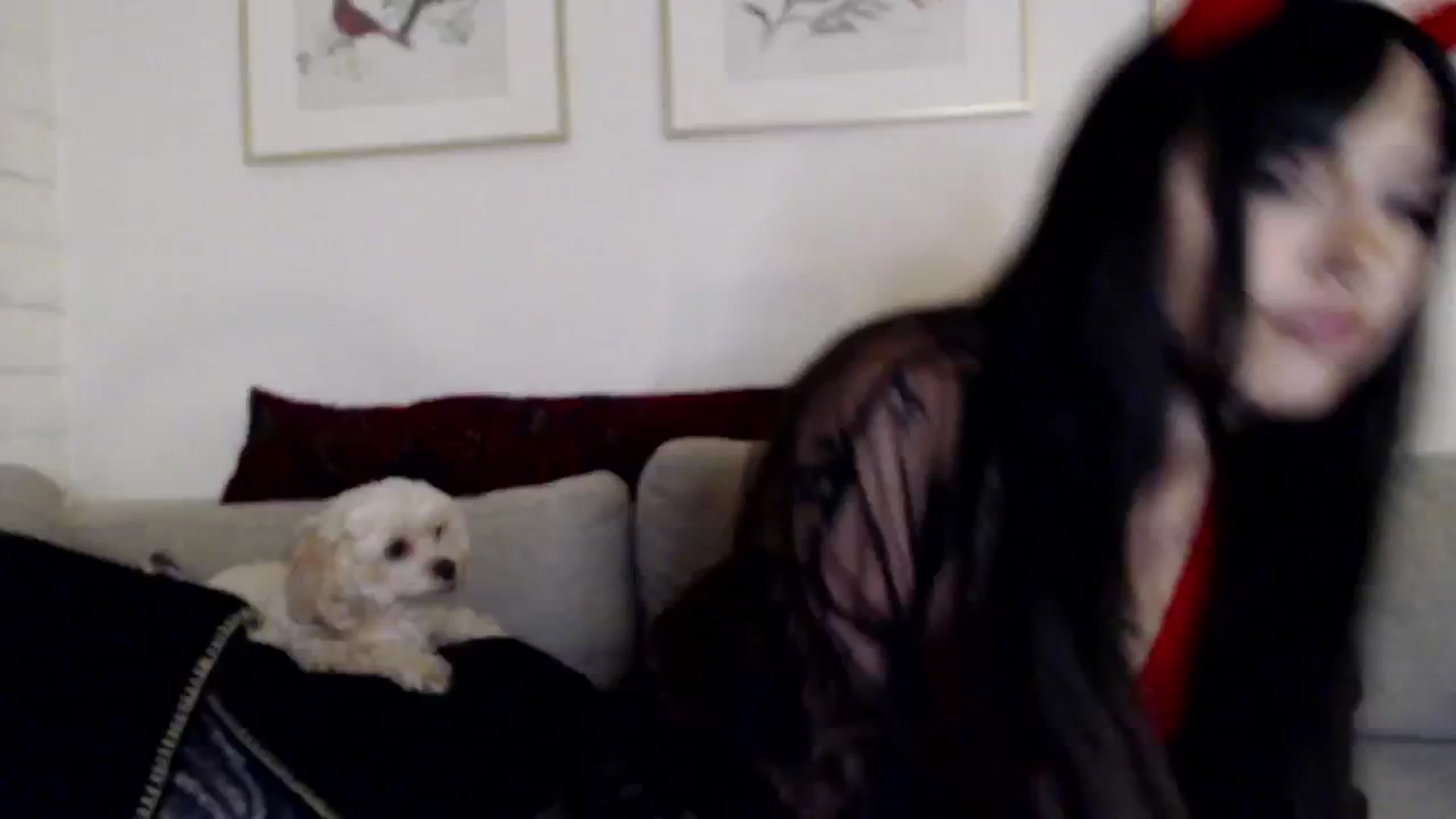 Gallery image thumbnail from Lil_bunniii's myfreecams stream on, 10/19/2024, 08:08 image 2 of 20