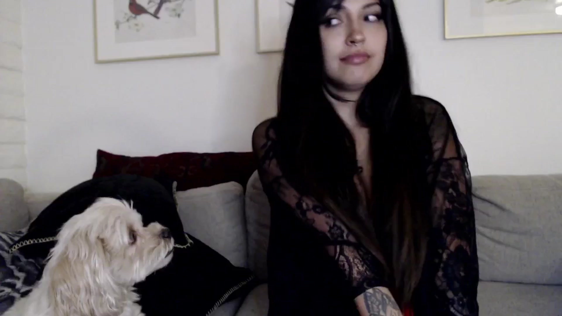 Gallery image thumbnail from Lil_bunniii's myfreecams stream on, 10/19/2024, 08:08 image 8 of 20