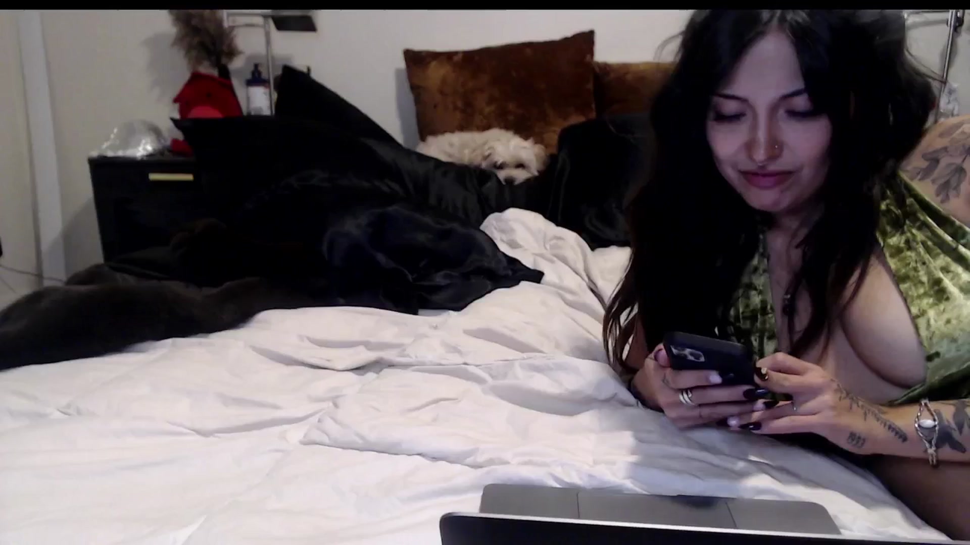 Gallery image thumbnail from Lil_bunniii's myfreecams stream on, 11/07/2024, 06:58 image 16 of 20