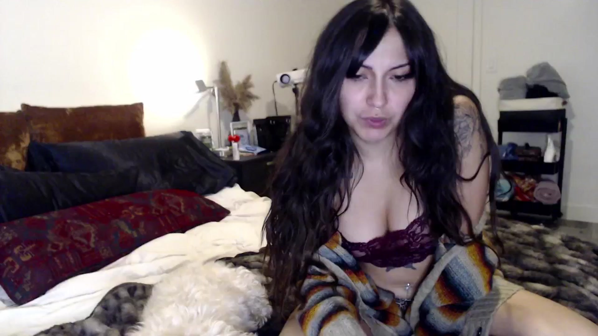 Gallery image thumbnail from Lil_bunniii's myfreecams stream on, 11/21/2024, 24:42 image 2 of 20