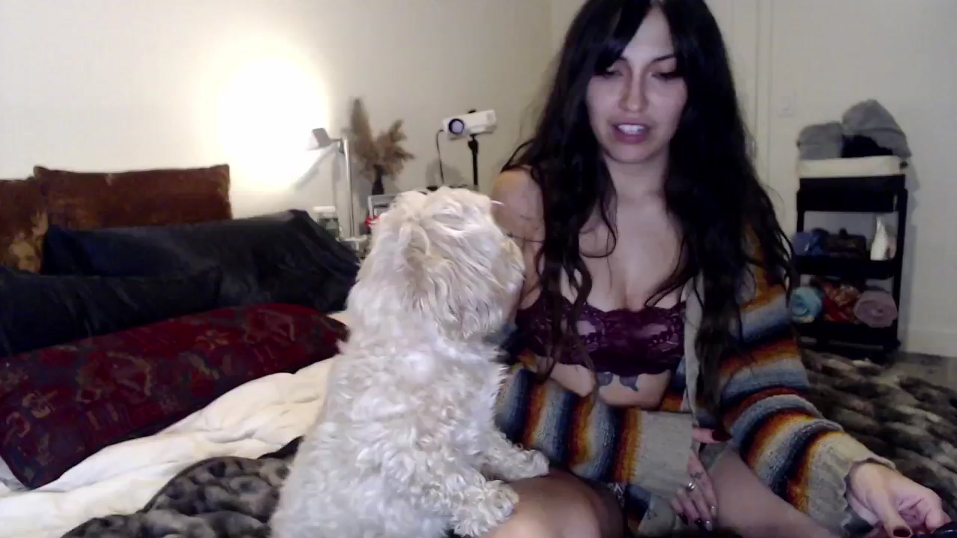 Gallery image thumbnail from Lil_bunniii's myfreecams stream on, 11/21/2024, 24:42 image 10 of 20
