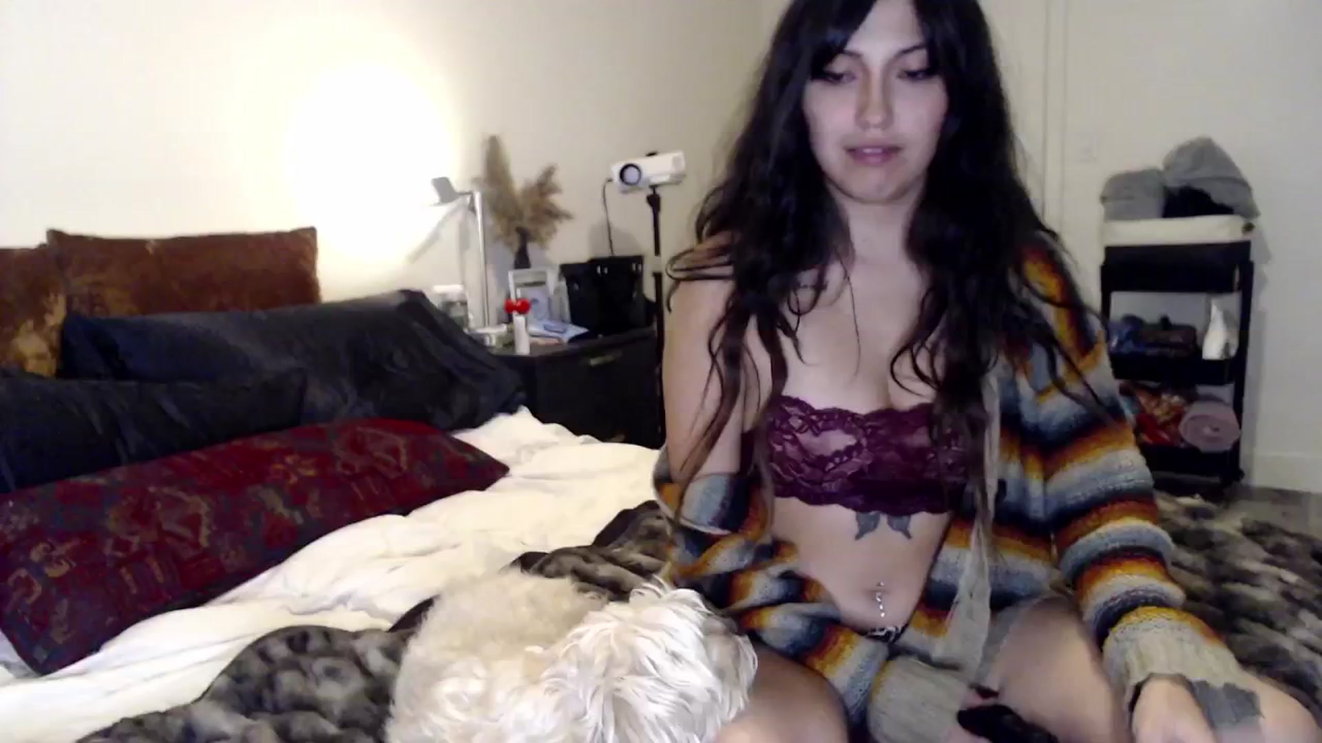 Gallery image thumbnail from Lil_bunniii's myfreecams stream on, 11/21/2024, 24:42 image 9 of 20
