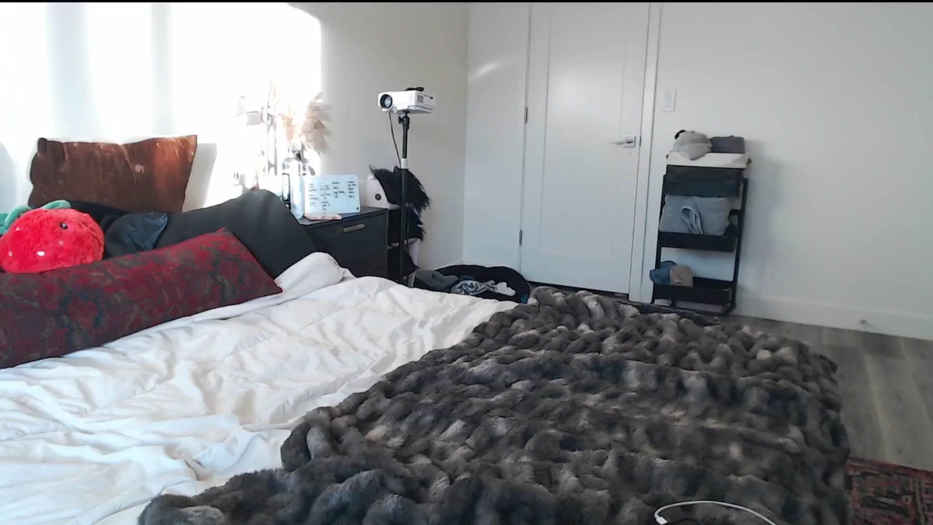 Gallery image thumbnail from Lil_bunniii's myfreecams stream on, 01/06/2025, 24:01 image 15 of 20