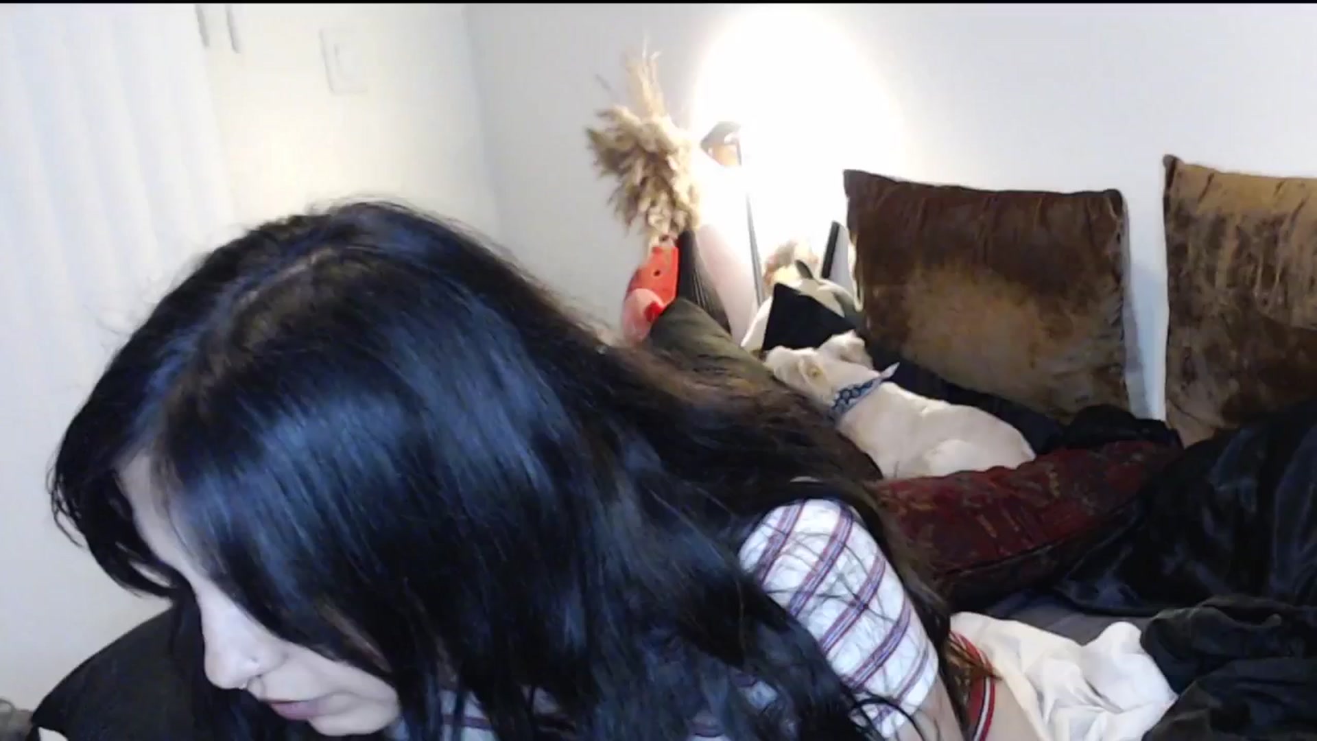 Gallery image thumbnail from Lil_bunniii's myfreecams stream on, 01/17/2025, 08:25 image 9 of 20