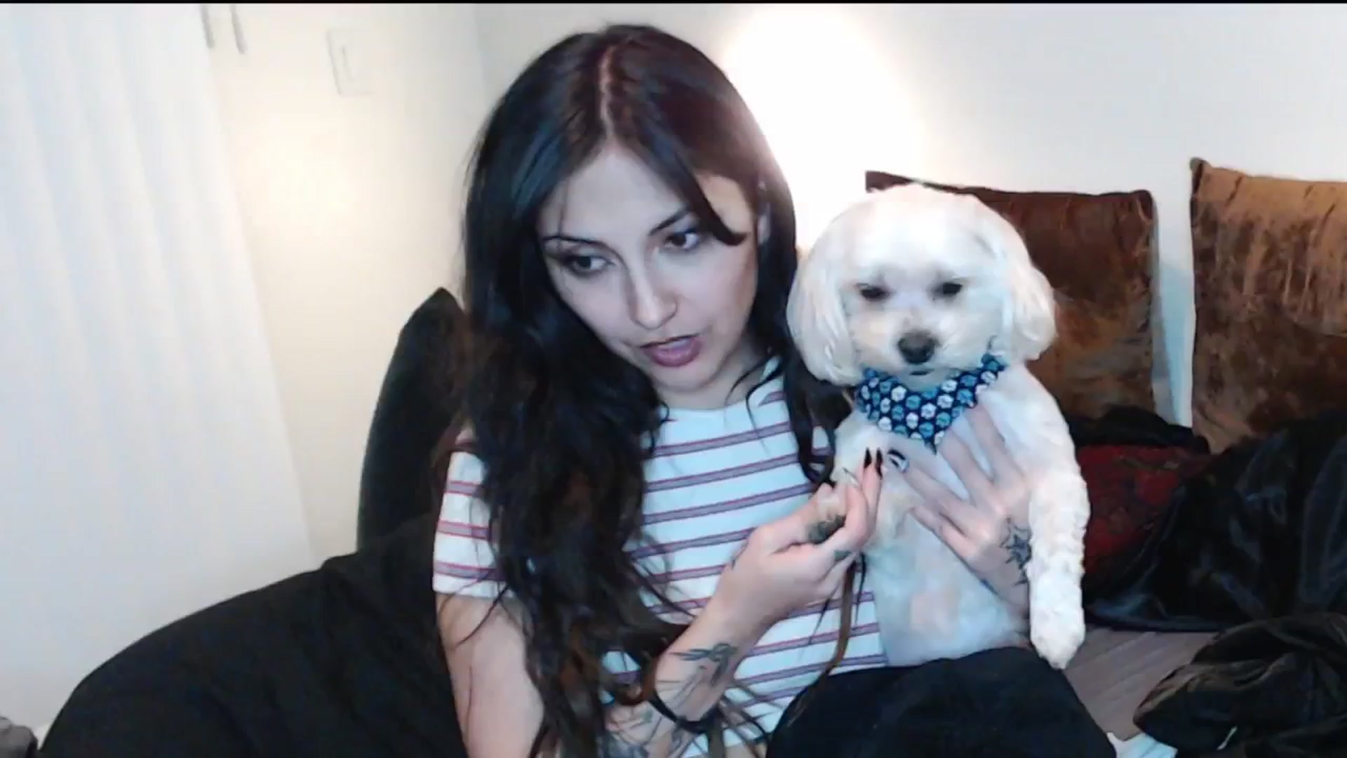 Gallery image thumbnail from Lil_bunniii's myfreecams stream on, 01/17/2025, 08:25 image 17 of 20