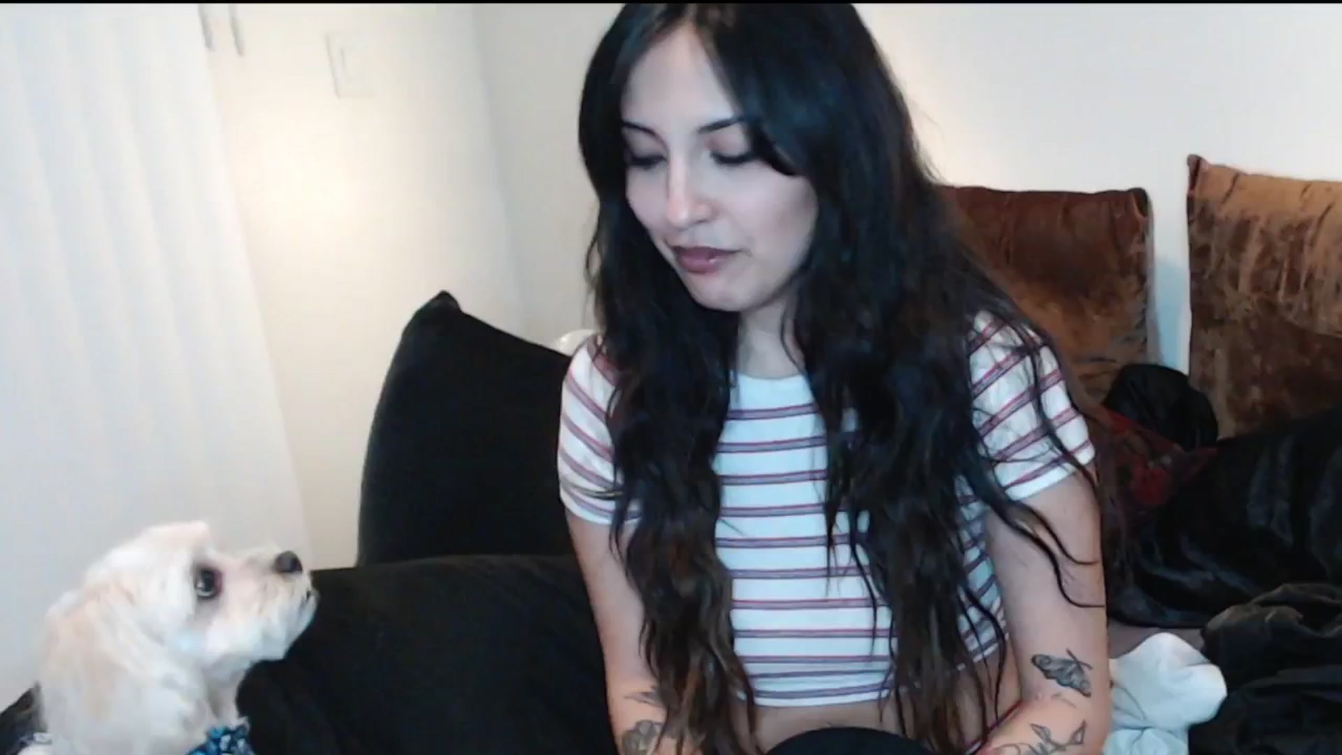 Gallery image thumbnail from Lil_bunniii's myfreecams stream on, 01/17/2025, 08:25 image 3 of 20
