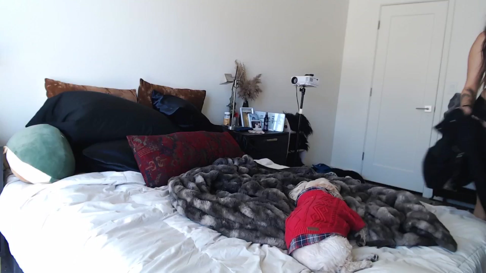Gallery image thumbnail from Lil_bunniii's myfreecams stream on, 01/23/2025, 20:09 image 20 of 20