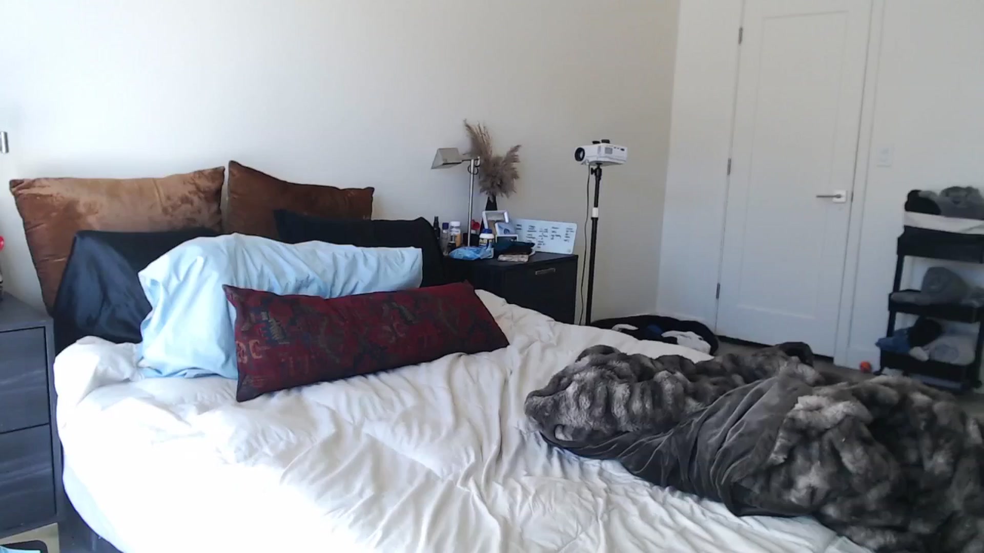 Gallery image thumbnail from Lil_bunniii's myfreecams stream on, 02/24/2025, 01:00 image 2 of 20