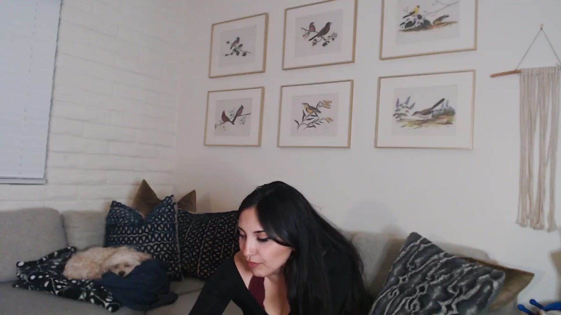 Gallery image thumbnail from Lil_bunniii's myfreecams stream on, 03/09/2025, 09:02 image 7 of 20