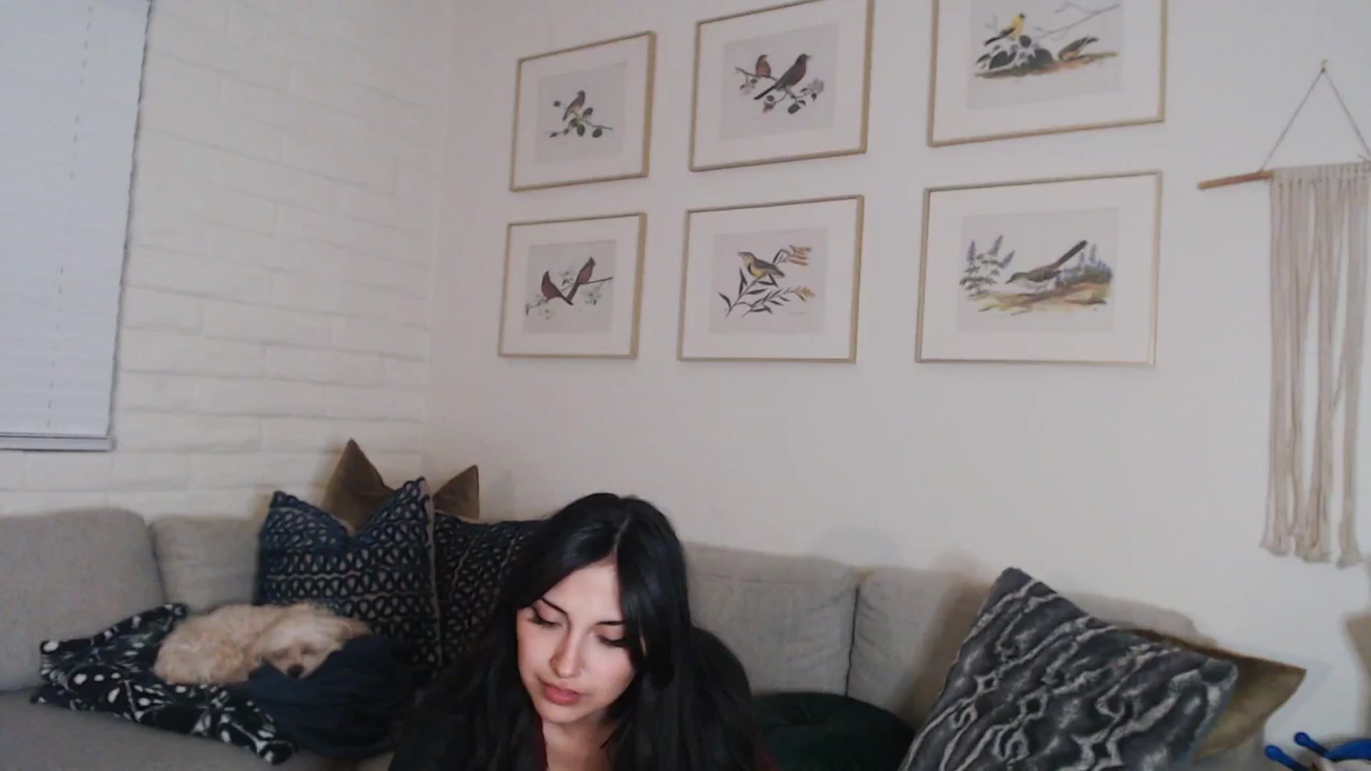 Gallery image thumbnail from Lil_bunniii's myfreecams stream on, 03/09/2025, 09:02 image 10 of 20