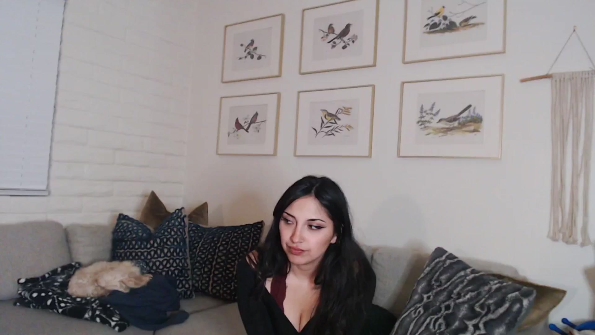 Gallery image thumbnail from Lil_bunniii's myfreecams stream on, 03/09/2025, 09:02 image 3 of 20