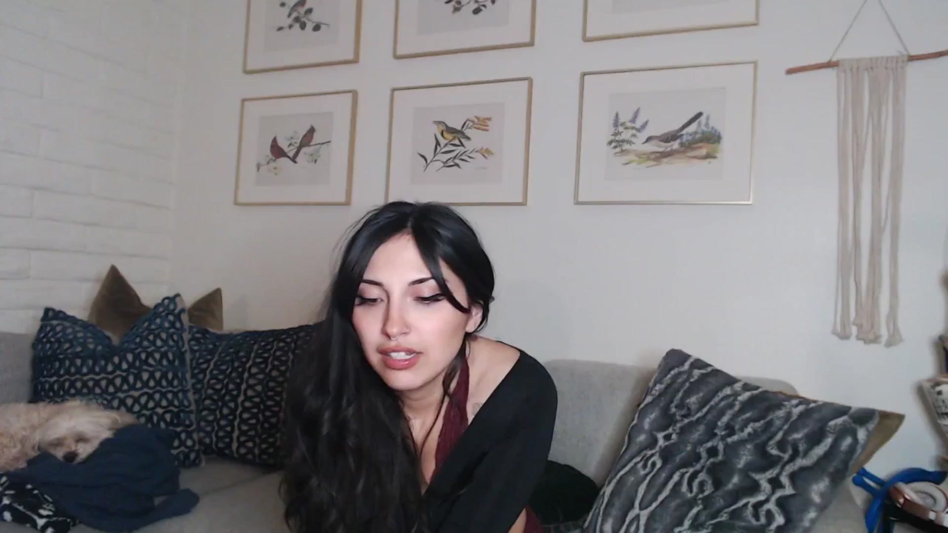 Gallery image thumbnail from Lil_bunniii's myfreecams stream on, 03/09/2025, 09:02 image 13 of 20