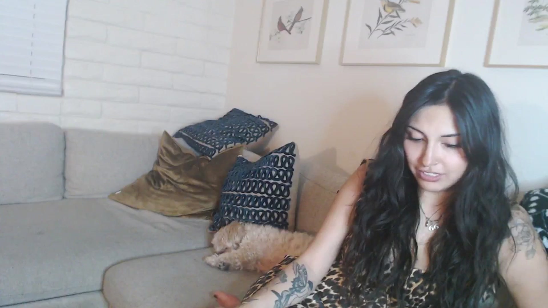Gallery image thumbnail from Lil_bunniii's myfreecams stream on, 03/24/2025, 06:50 image 12 of 20