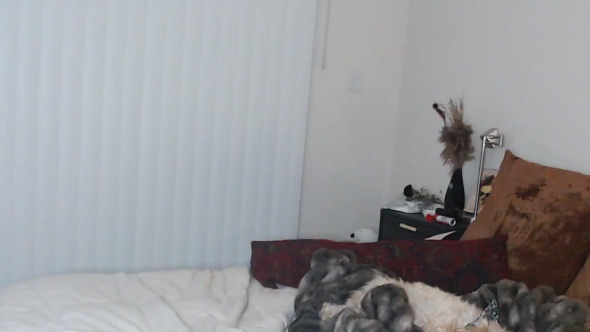 Gallery image thumbnail from Lil_bunniii's myfreecams stream on, 03/29/2025, 08:27 image 7 of 20