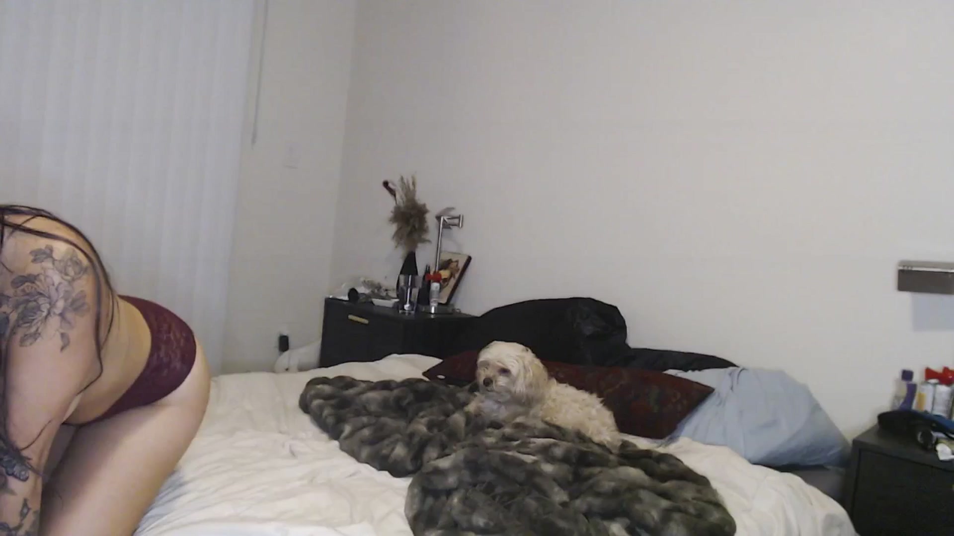 Gallery image thumbnail from Lil_bunniii's myfreecams stream on, 04/04/2025, 07:02 image 20 of 20