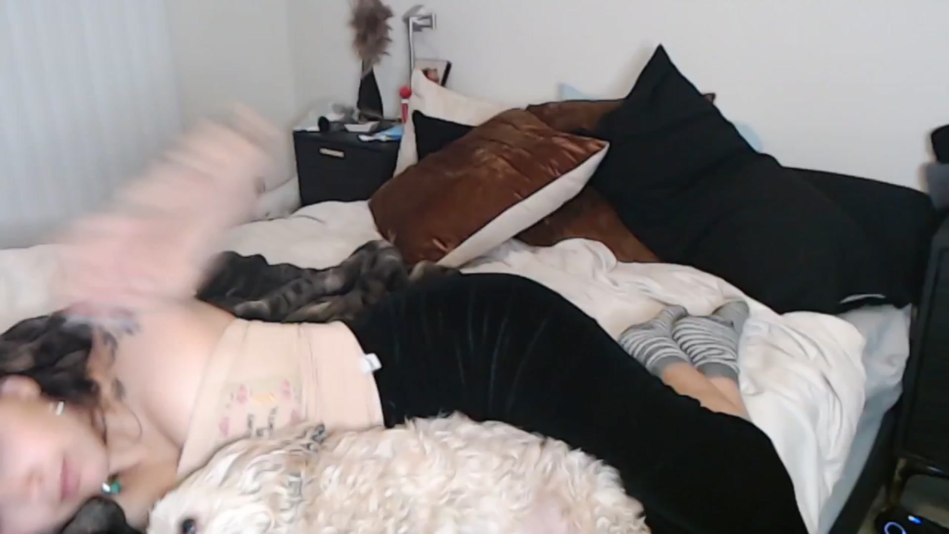Gallery image thumbnail from Lil_bunniii's myfreecams stream on, 04/25/2025, 06:59 image 9 of 20