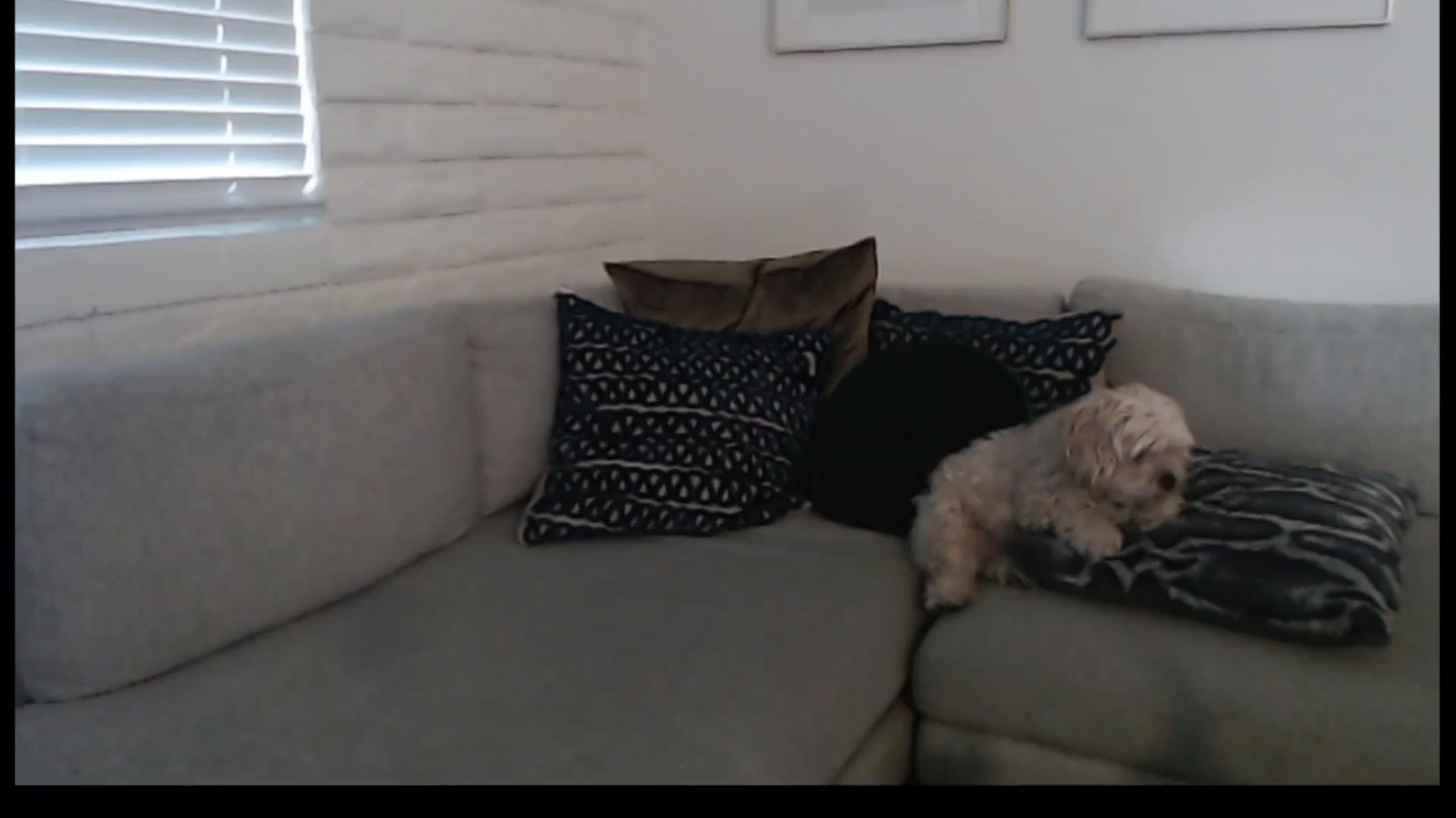 Gallery image thumbnail from Lil_bunniii's myfreecams stream on, 05/05/2025, 01:40 image 6 of 20